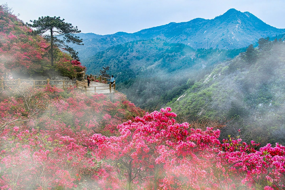 【黄陂景点图片】武汉木兰云雾山景区