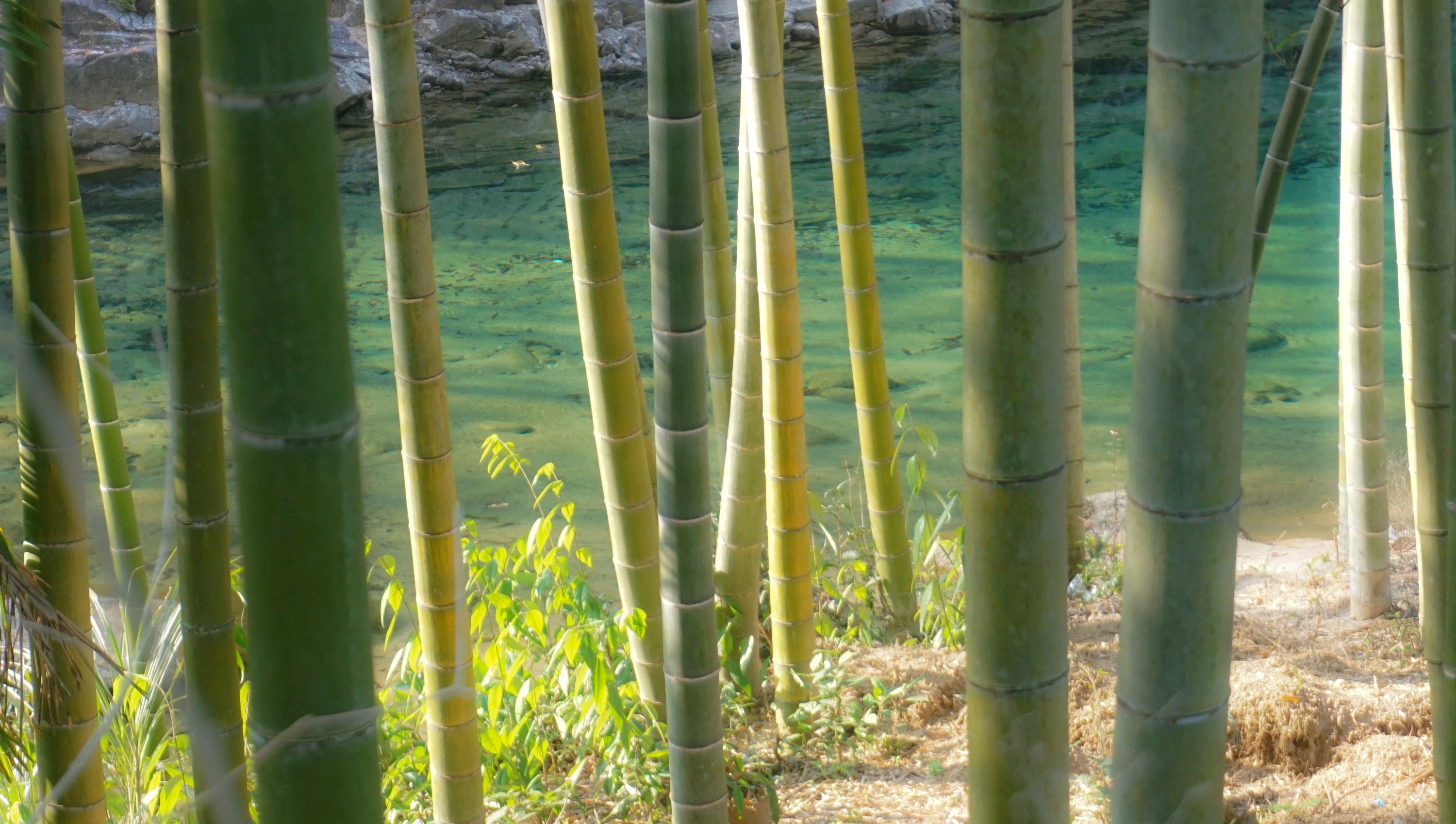 【德兴景点图片】梧风洞风景区