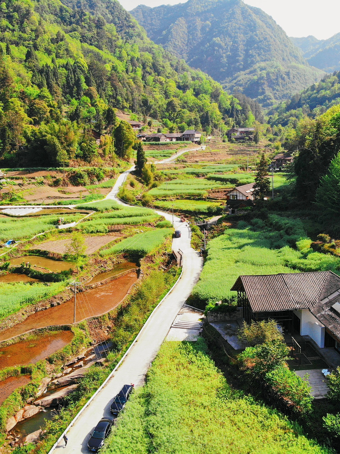 贵州梧桐山图片