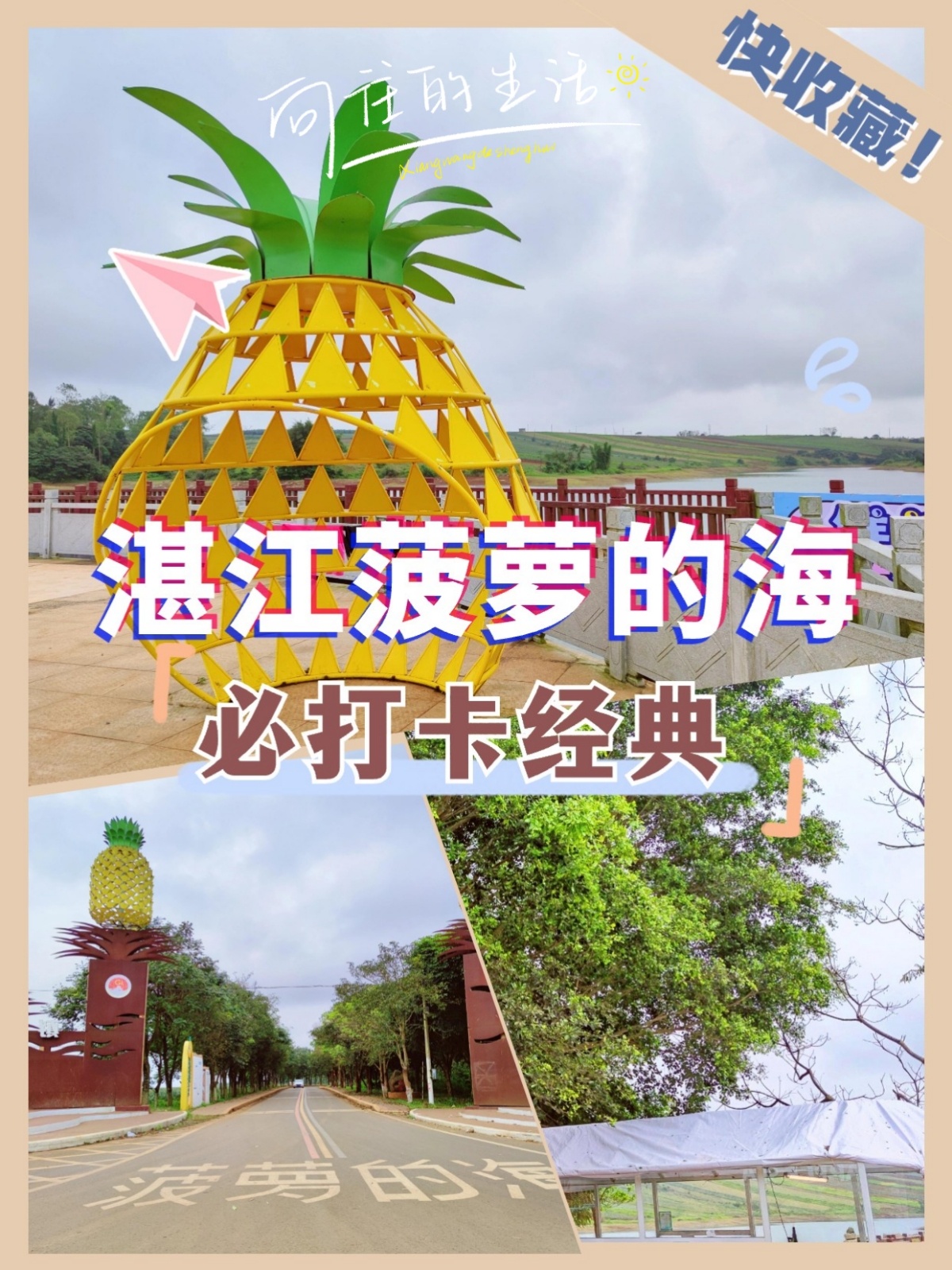 菠萝之乡徐闻,中国最大的菠萝生产基地,到了"菠萝的海"才知道原来菠萝