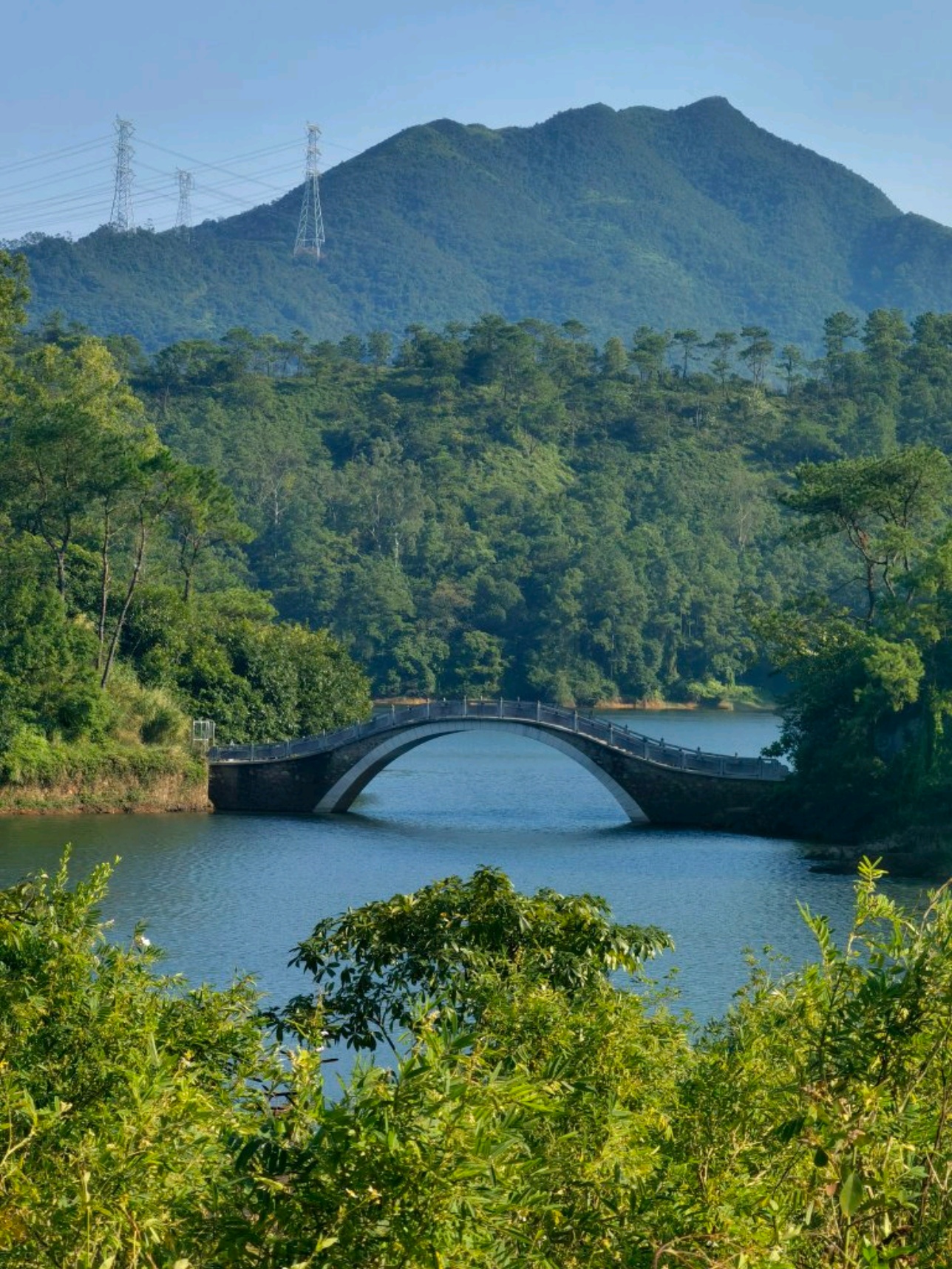 恩平市湿地公园图片