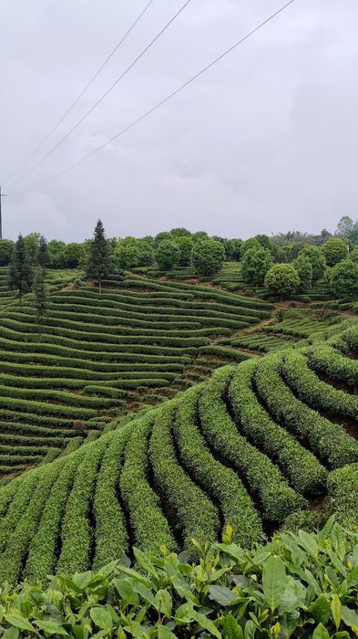 牛碾坪风景区图片