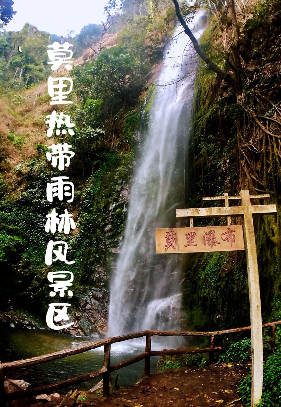 莫里热带雨林风景区