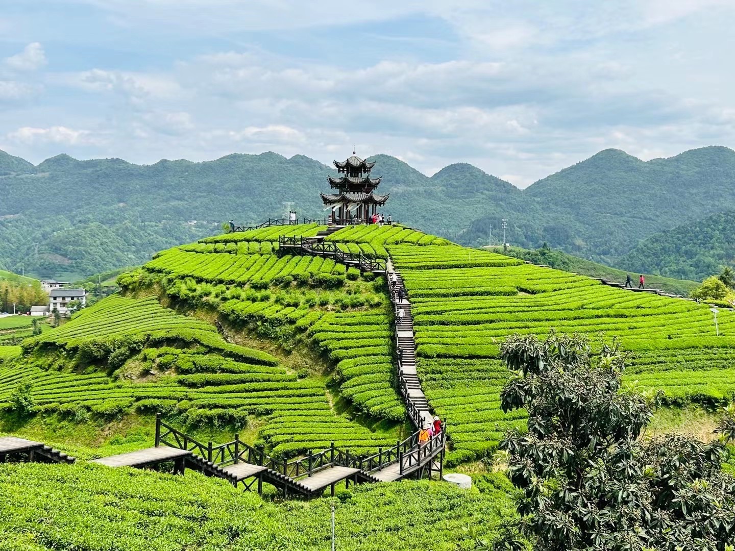 伍家台景区高清图片图片