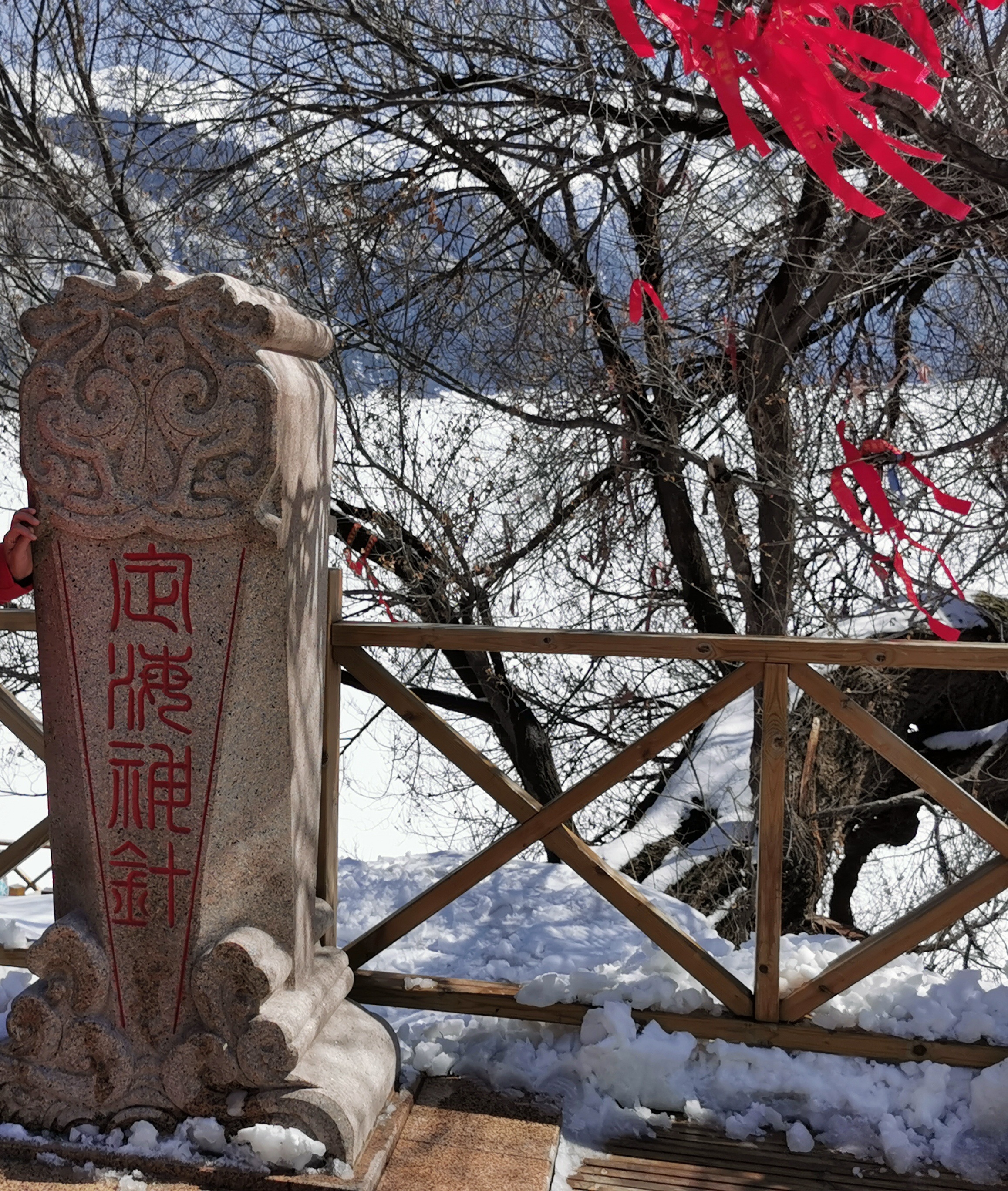 天山天池八景之一的"定海神针"