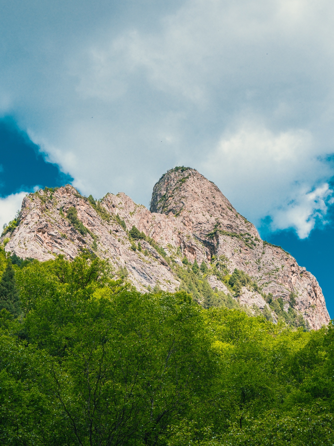 夏季青海自驾,扎龙沟可以安排