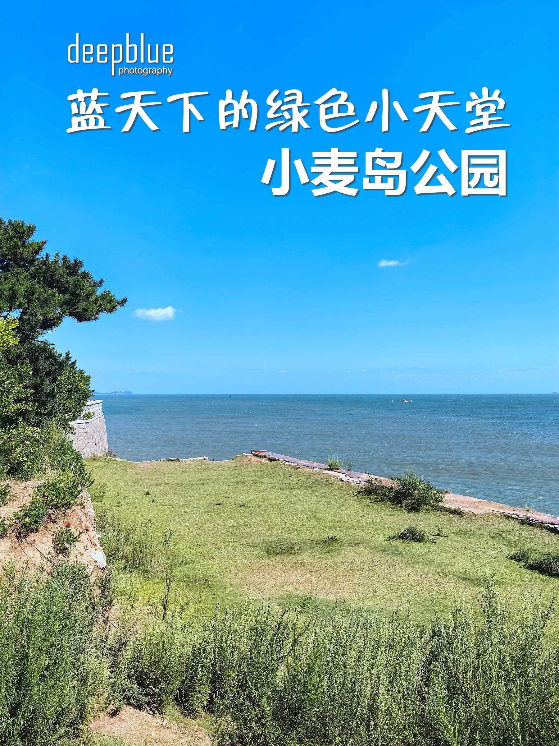 小麦岛公园介绍图片