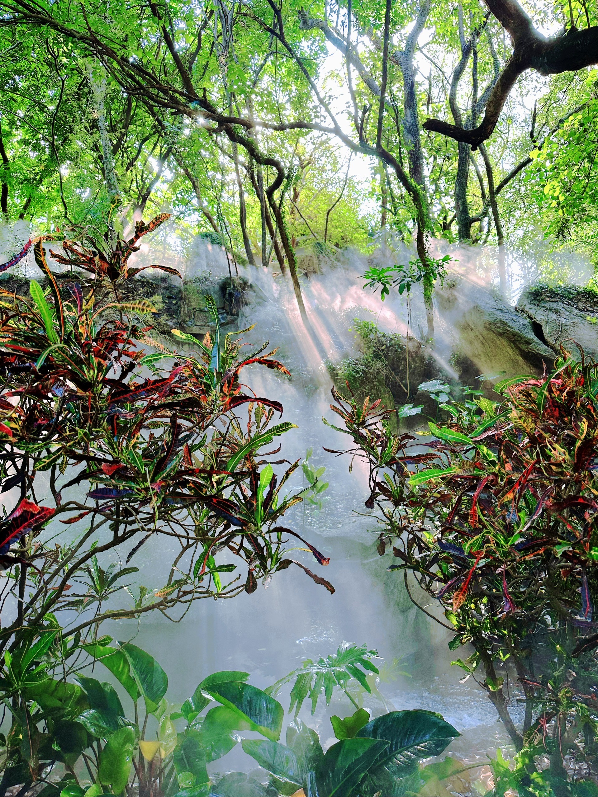 厦门雨林世界图片