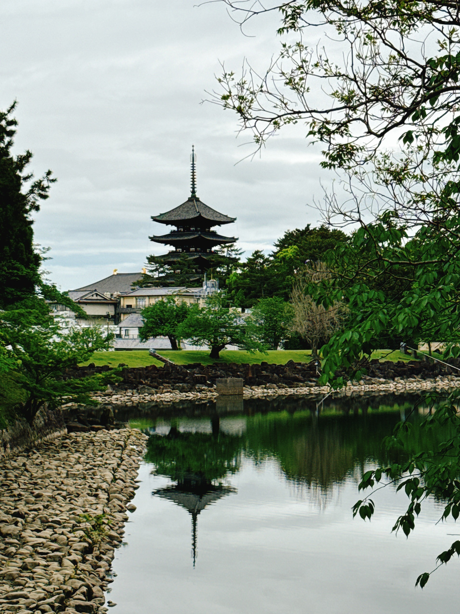 在奈良兴福寺国宝馆观赏日本国宝