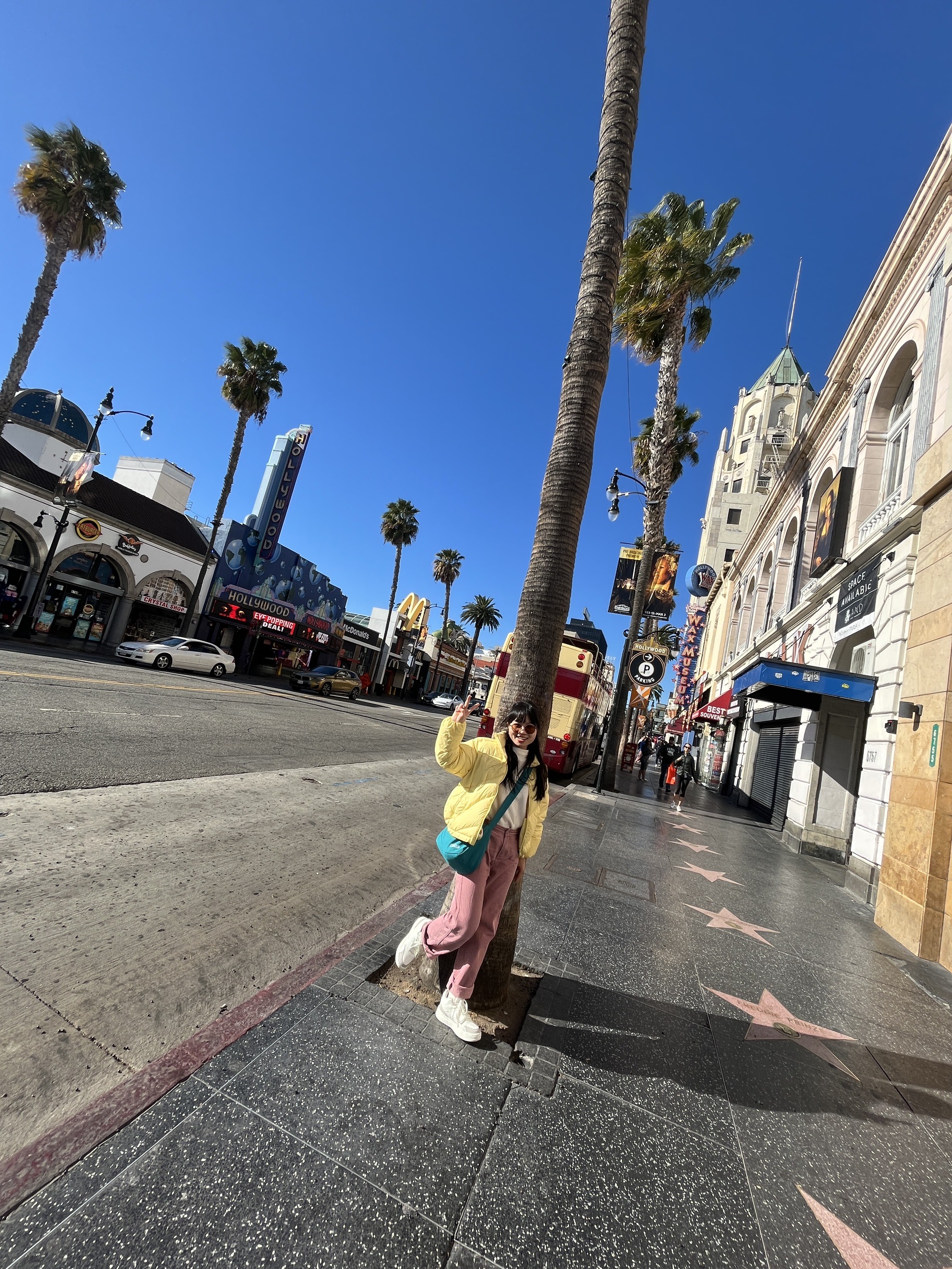 美国洛杉矶的街头