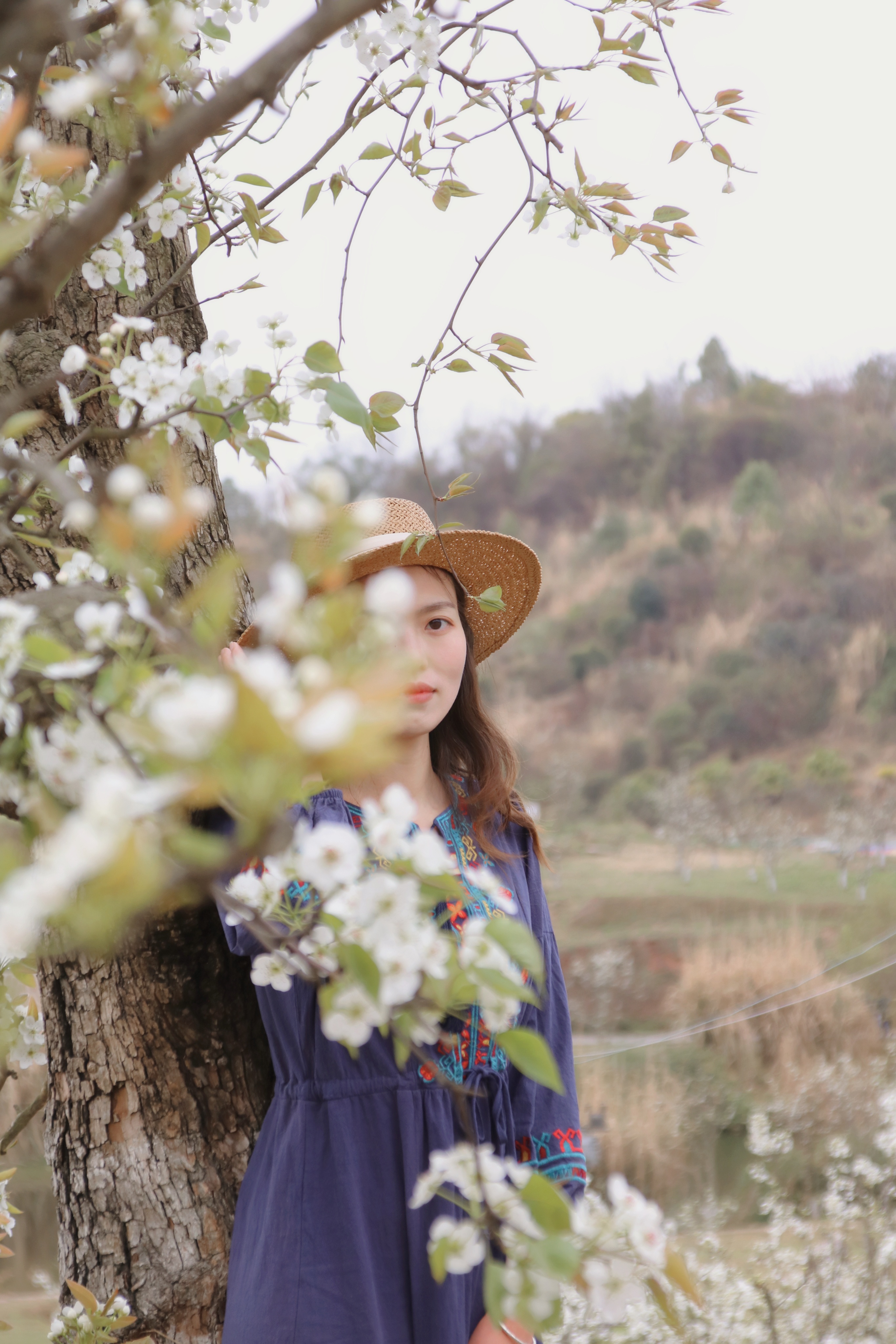 梨花的温柔浪漫——新津梨花溪风景区