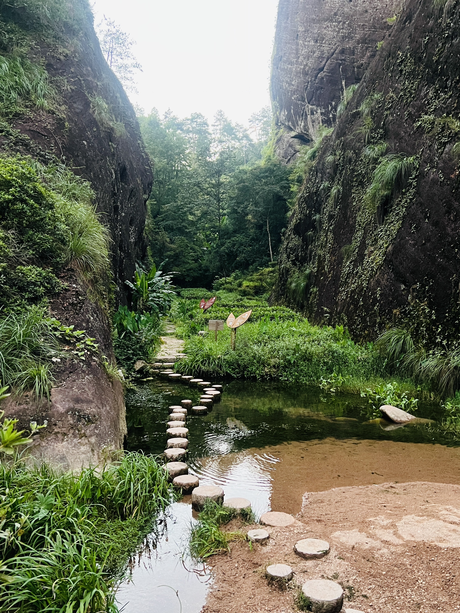爱茶者朝圣地:武夷山岩骨花香漫游道