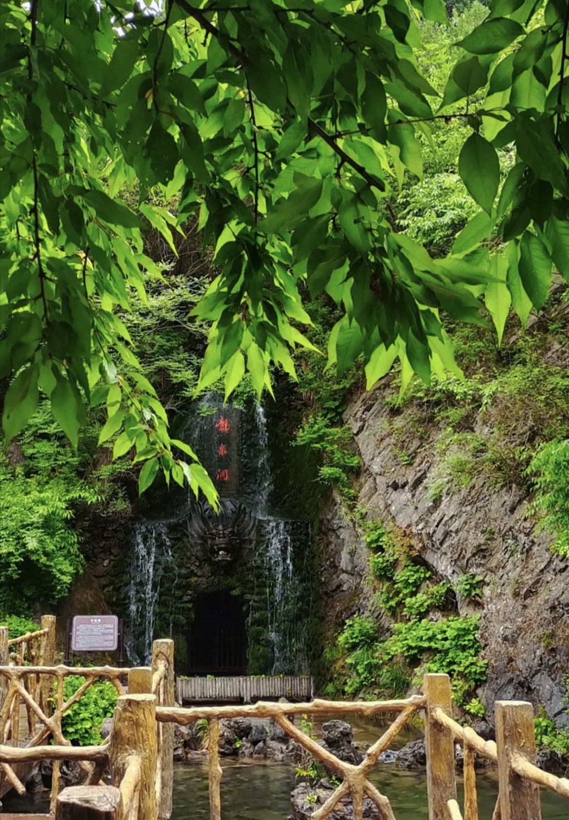 夏日避暑游记之九龙山国家森林公园