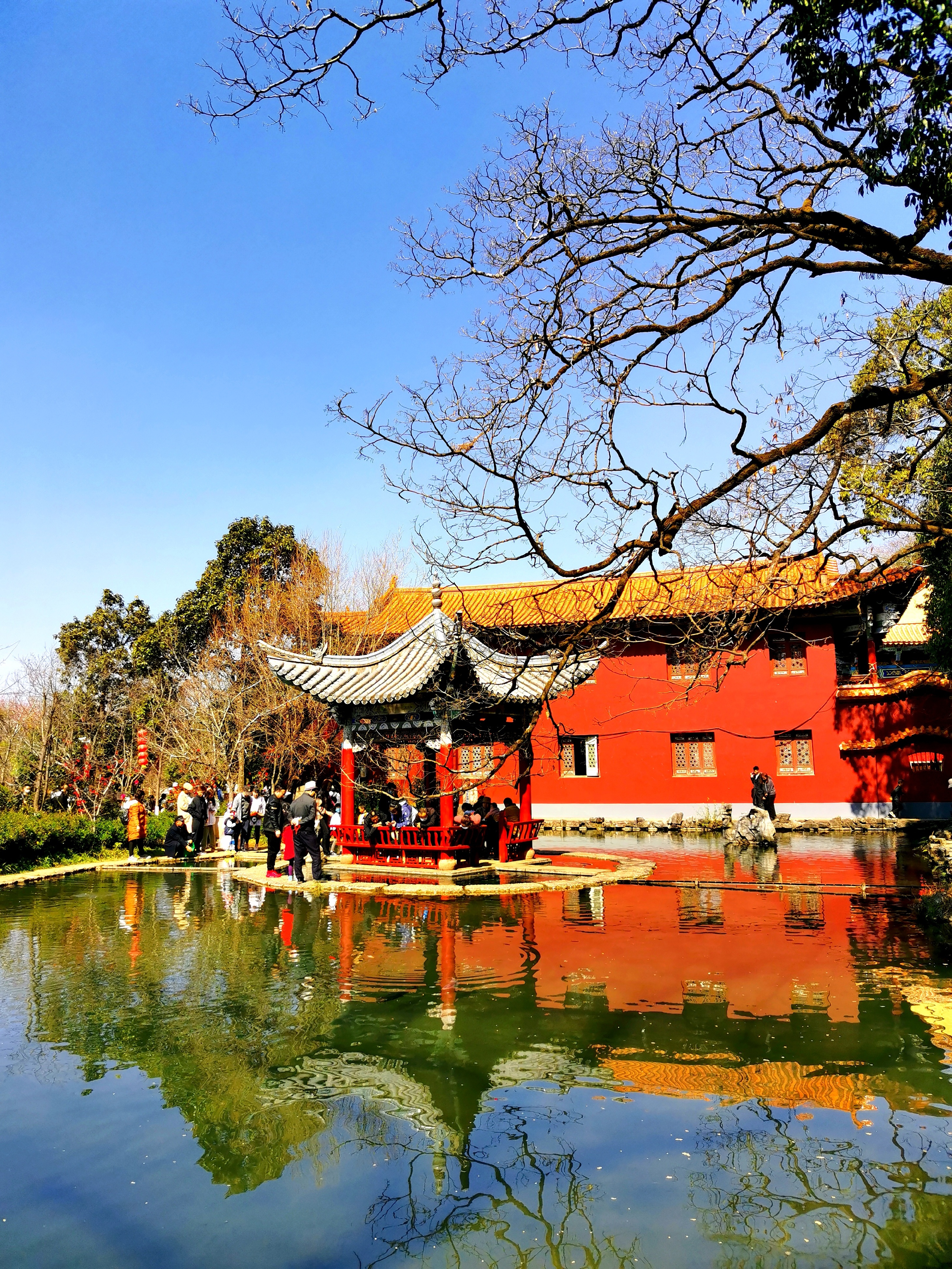 昆明丰泽园植物园