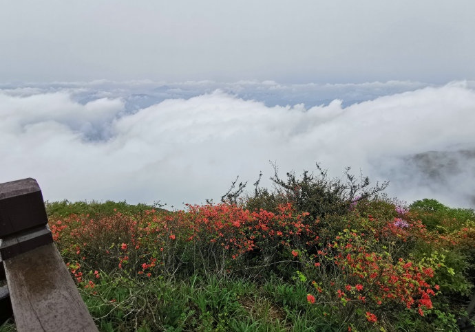 大围山七星岭景区图片