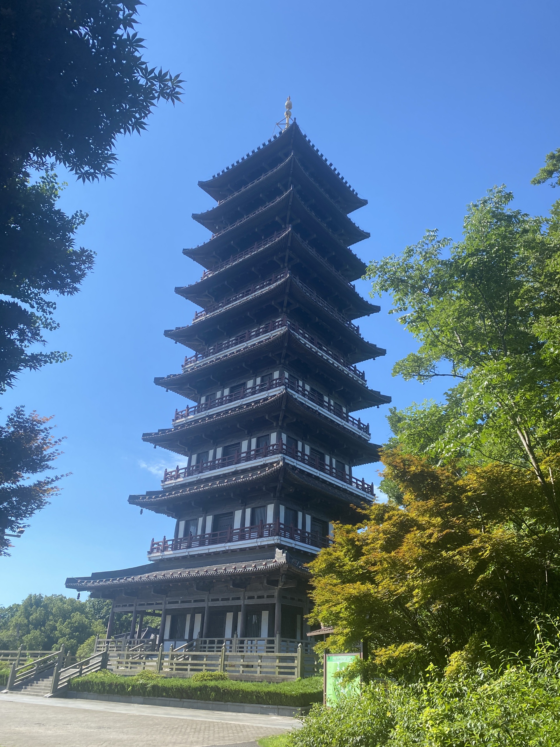 龙背山森林公园