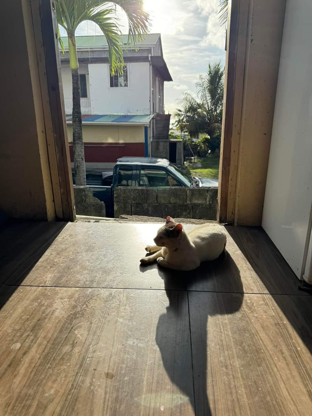 多米尼克(dominica)的首都罗索.