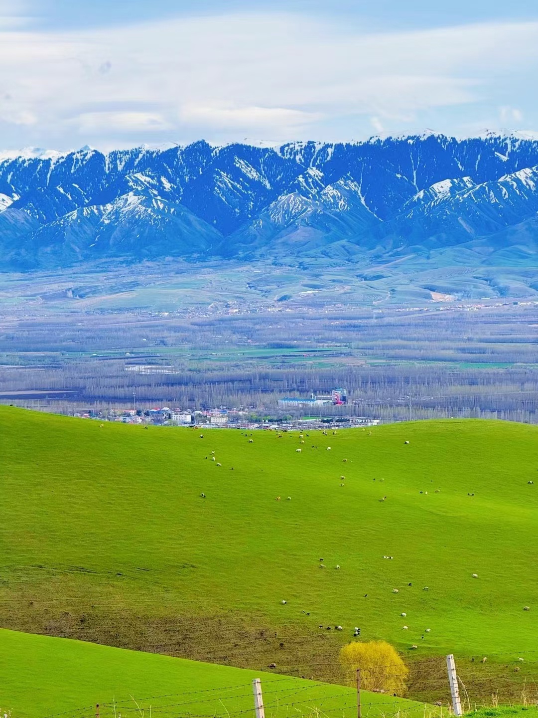 【新疆秘境探索】:伊犁吐尔根杏花沟,一场春日的粉色浪漫之旅
