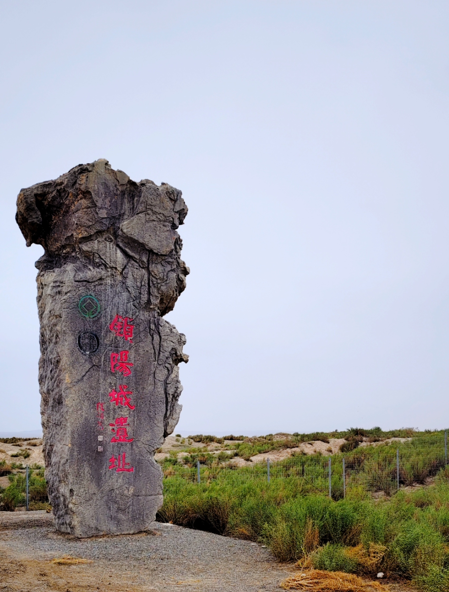 甘肃省瓜州县一锁阳城遗址