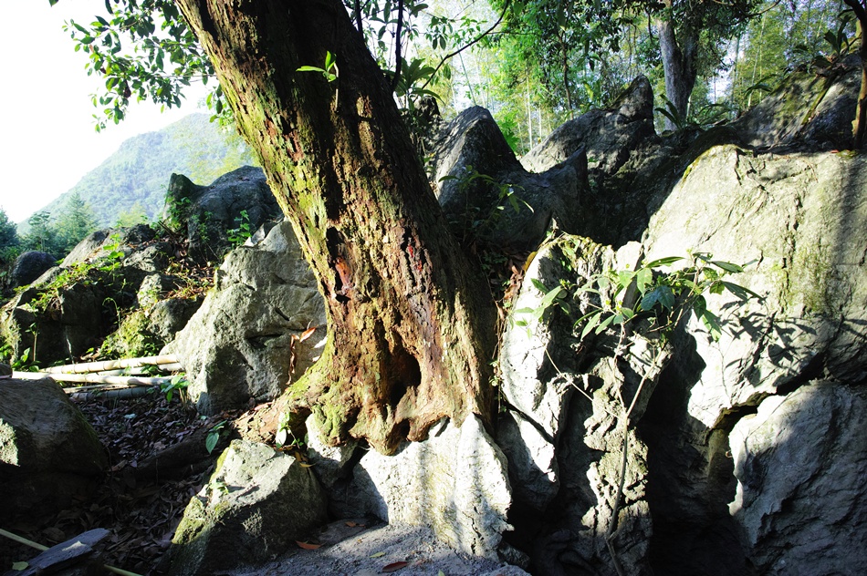 郴州莽山燕子岩风景区/客家文化/燕子岩溶洞