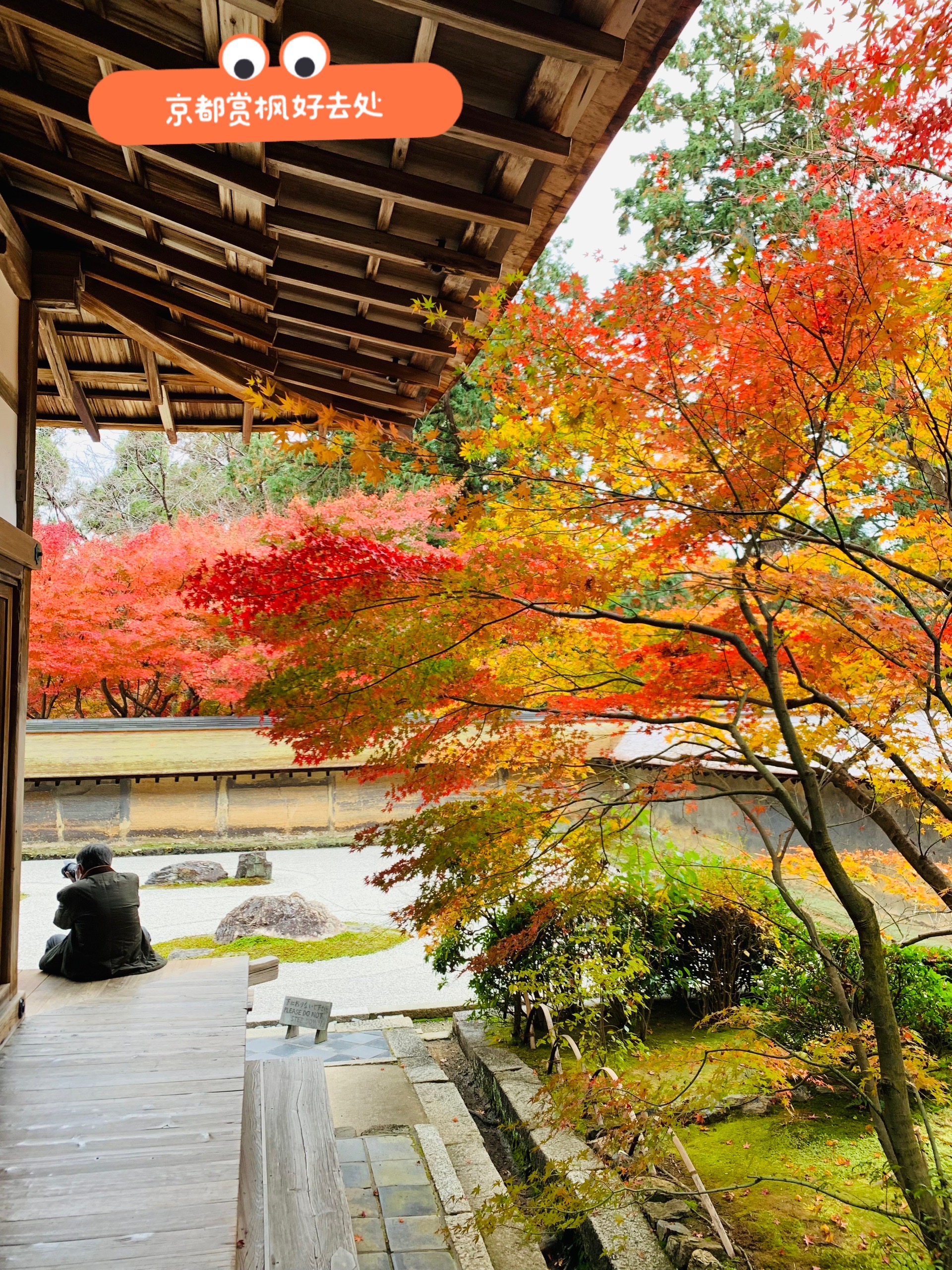 日本龙安寺石庭图片