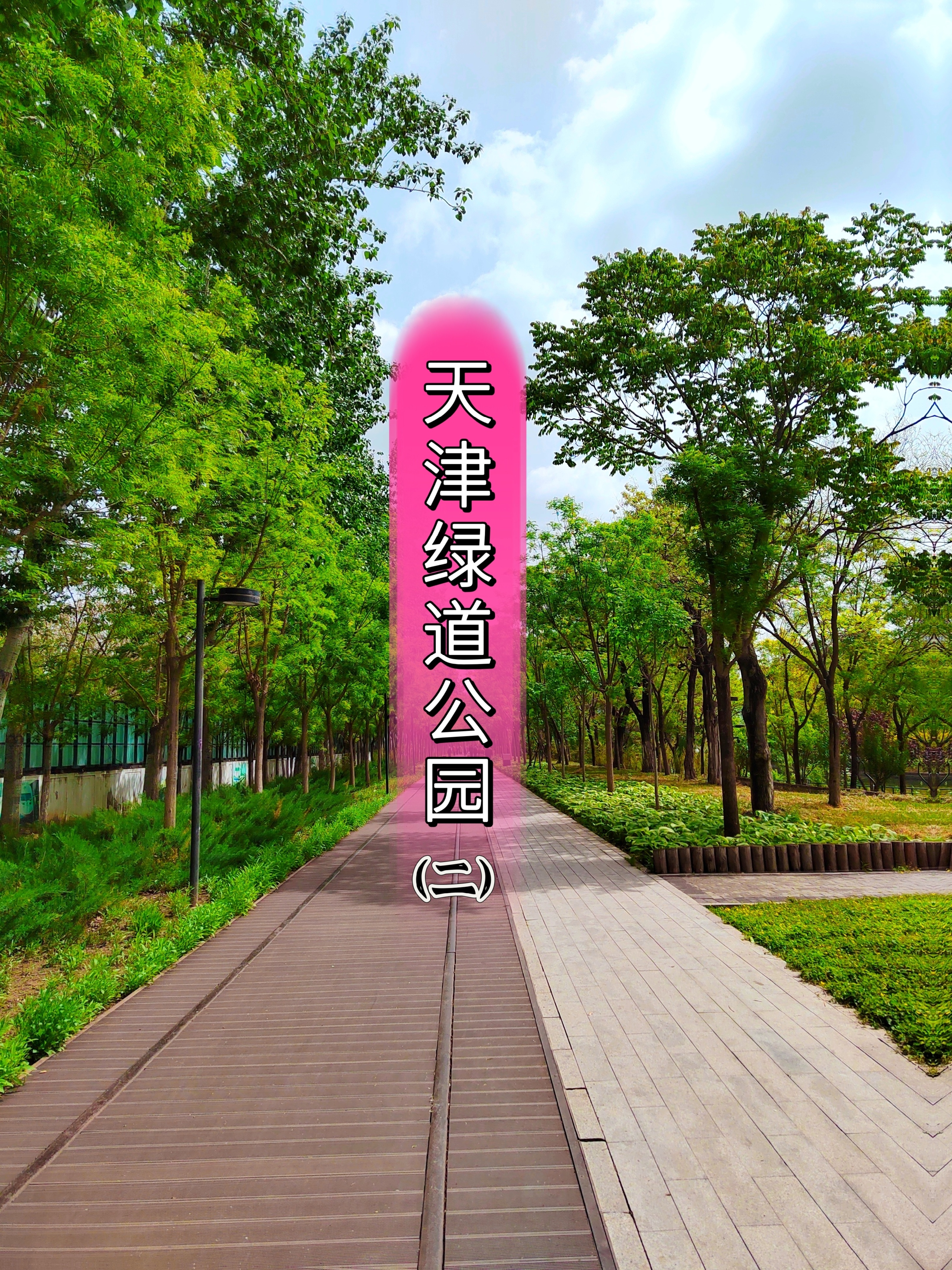 95天津绿道公园(二)