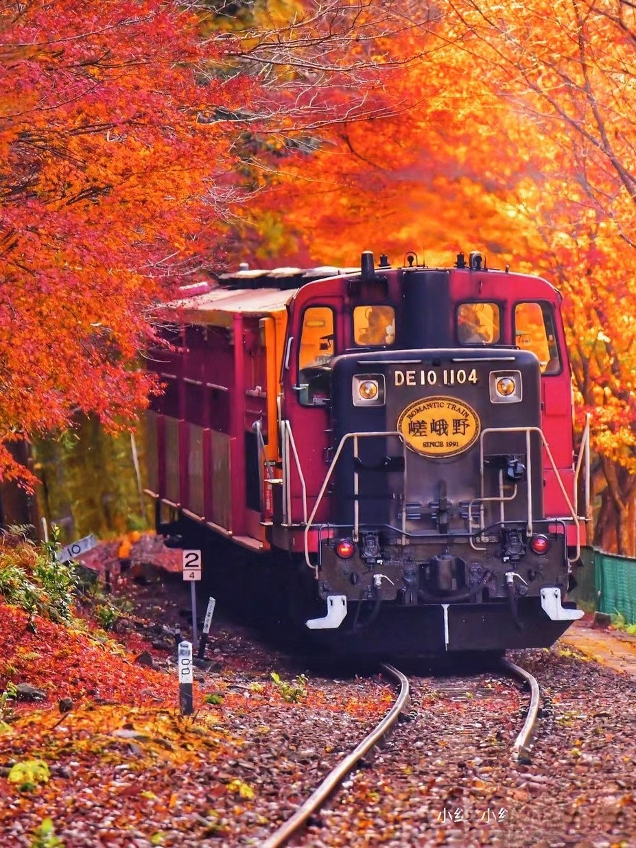 京都岚山小火车攻略