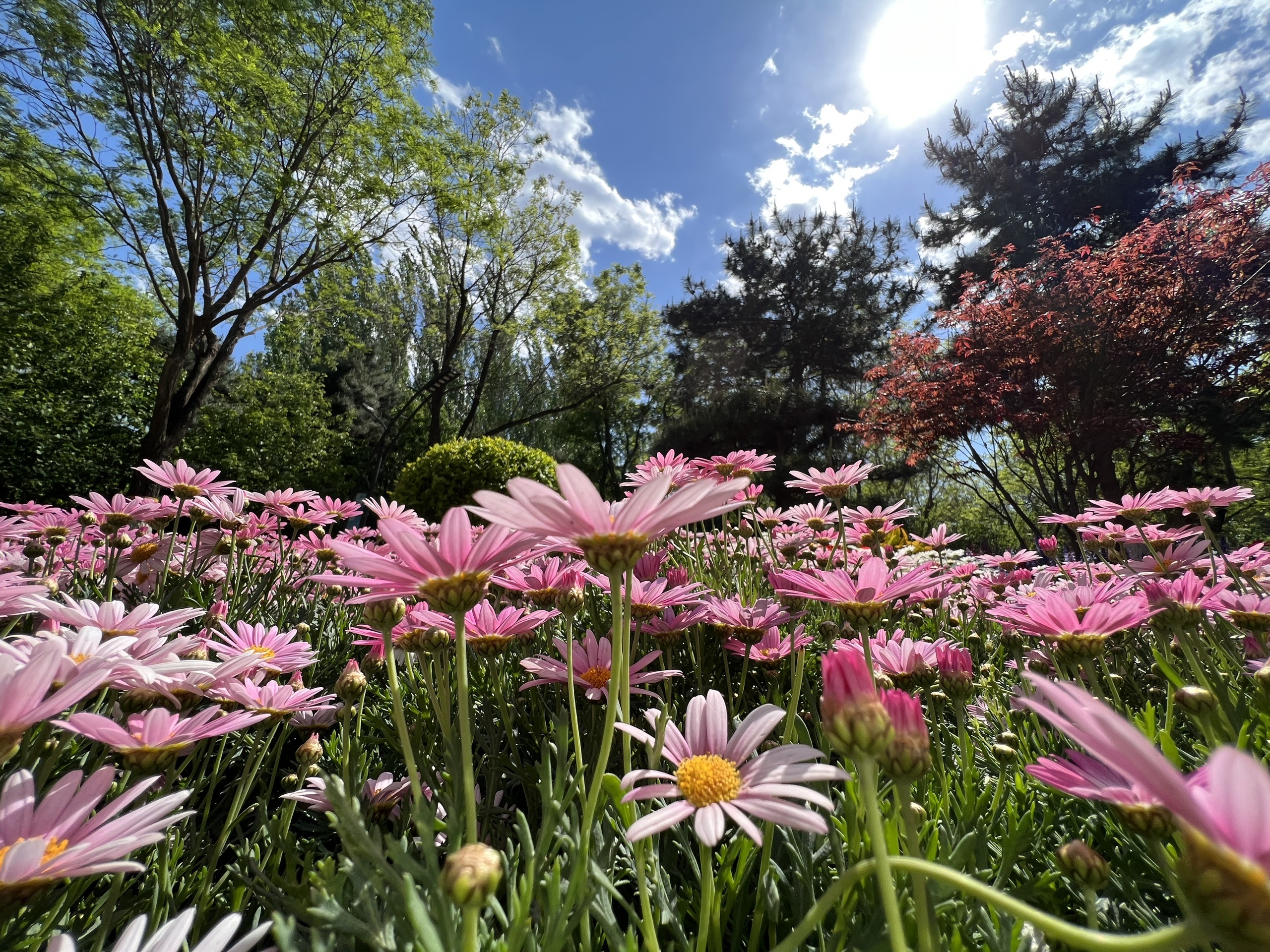 捕捉夏天的美好