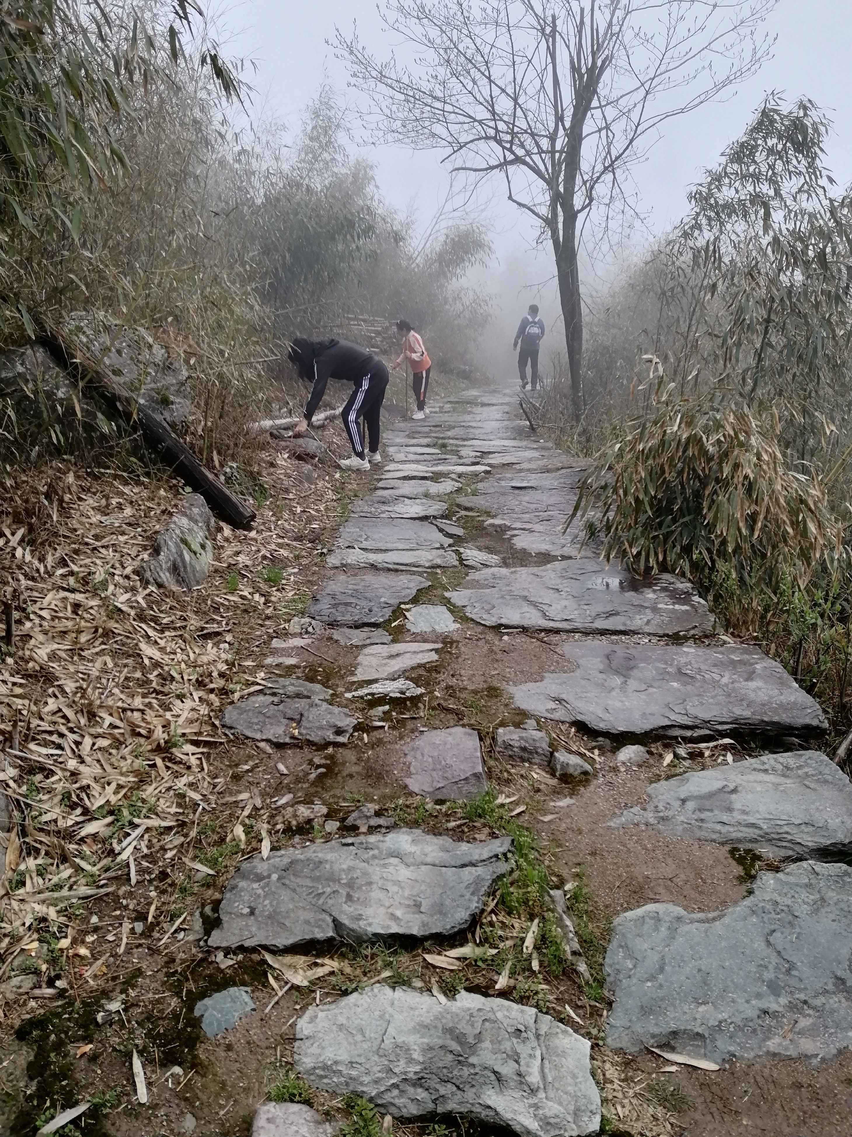 徒步箬岭古道