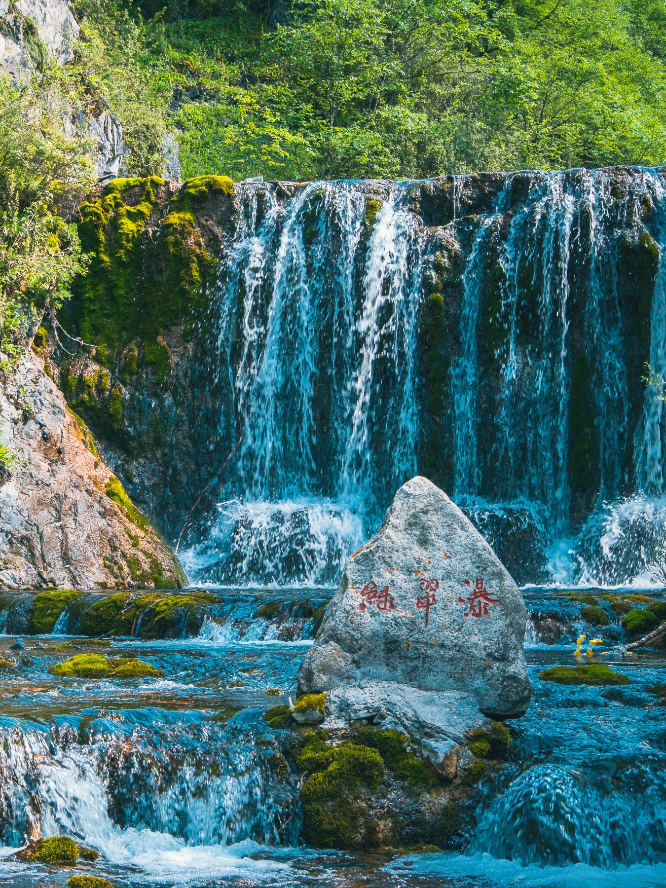 夏季青海自驾,扎龙沟可以安排