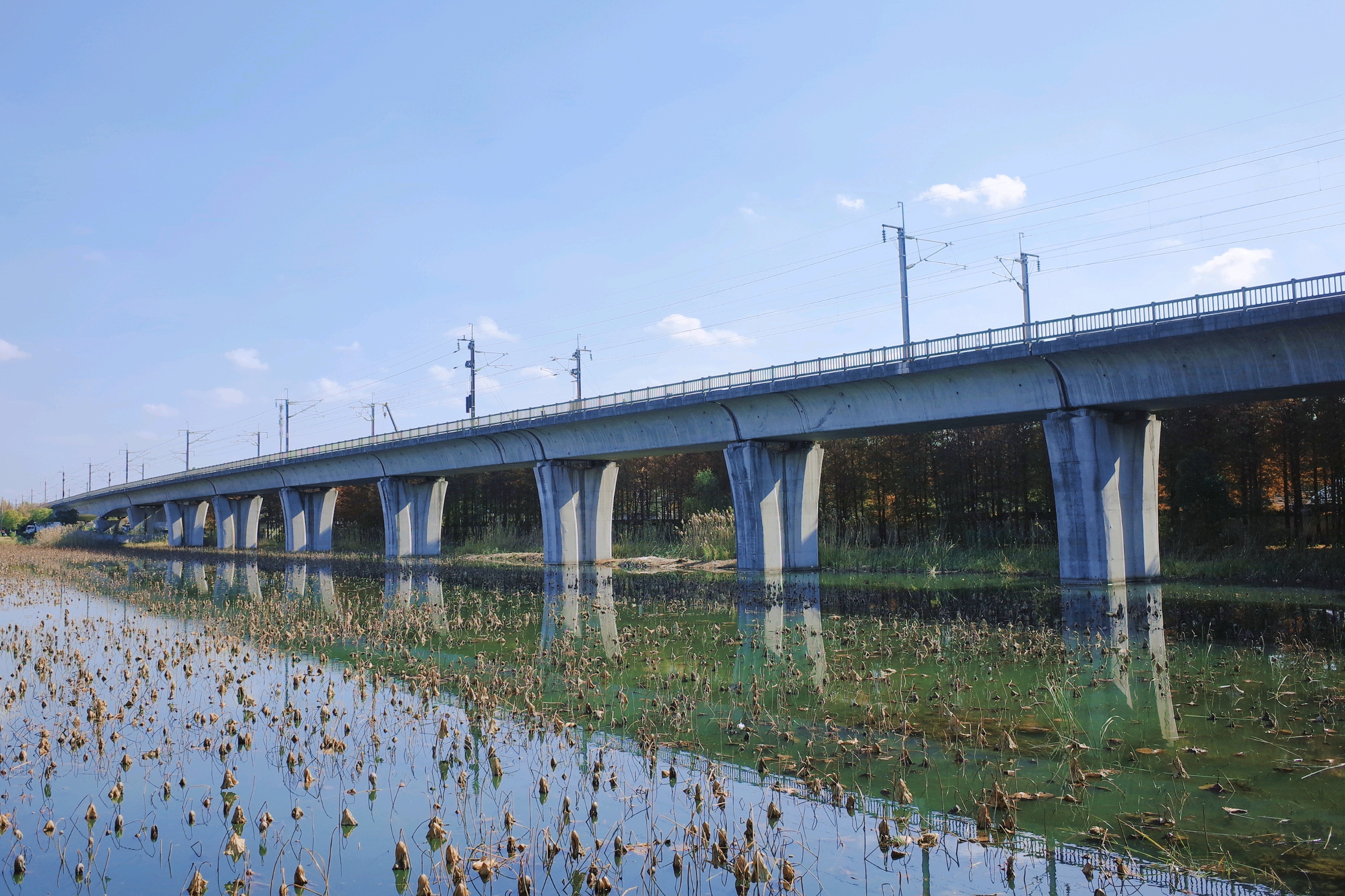 巴城生态湿地公园