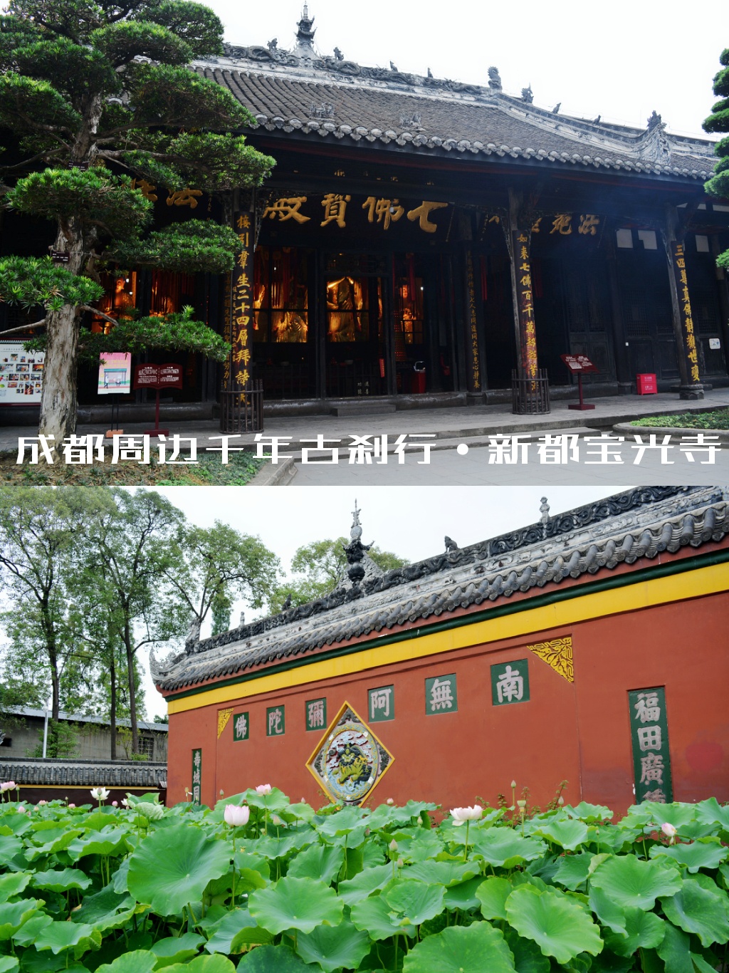 成都宝光寺门票图片