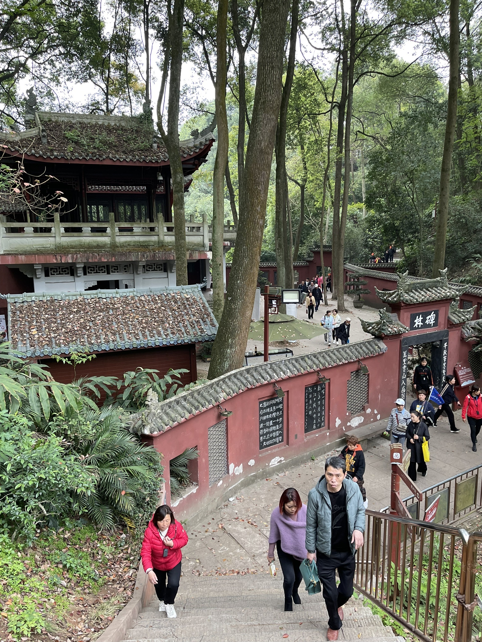 游览乐山景区:碑林,毗卢院,甘露堂