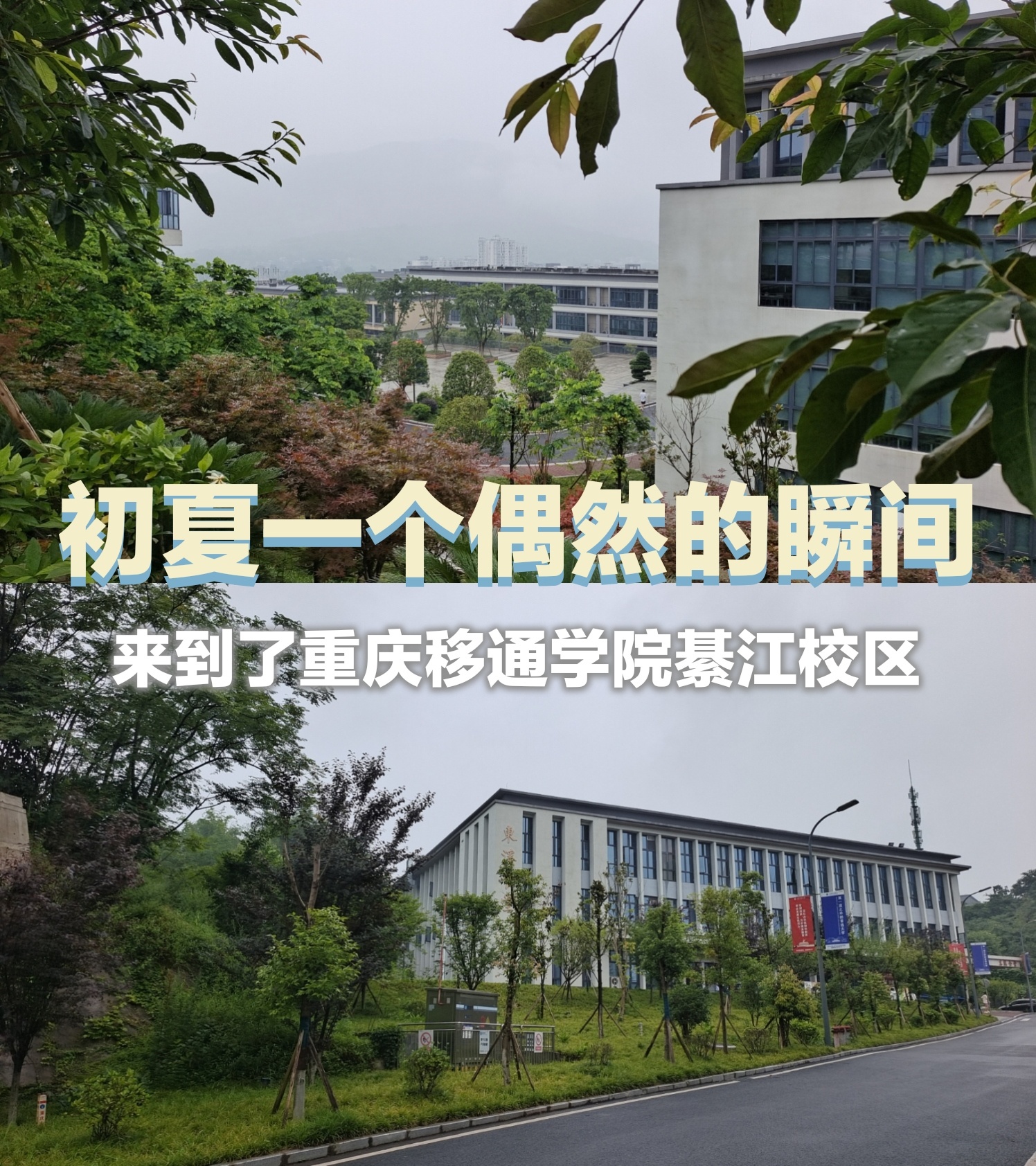 重庆移通学院多大图片