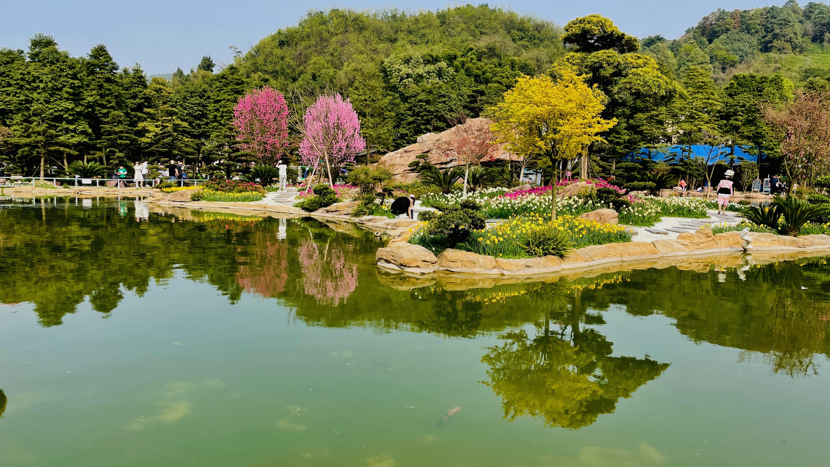 太寺垭森林公园