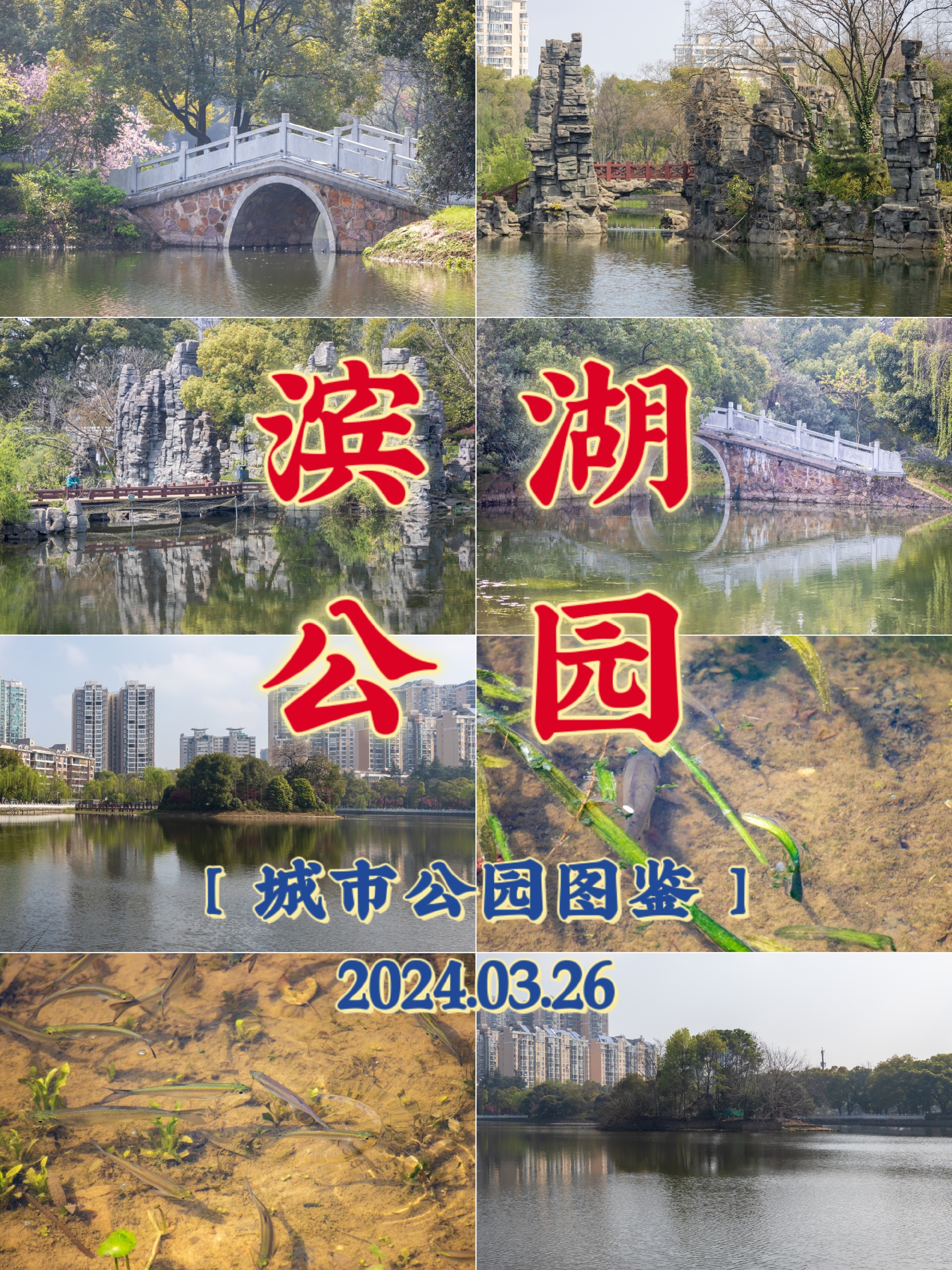 常德滨湖公园简介图片