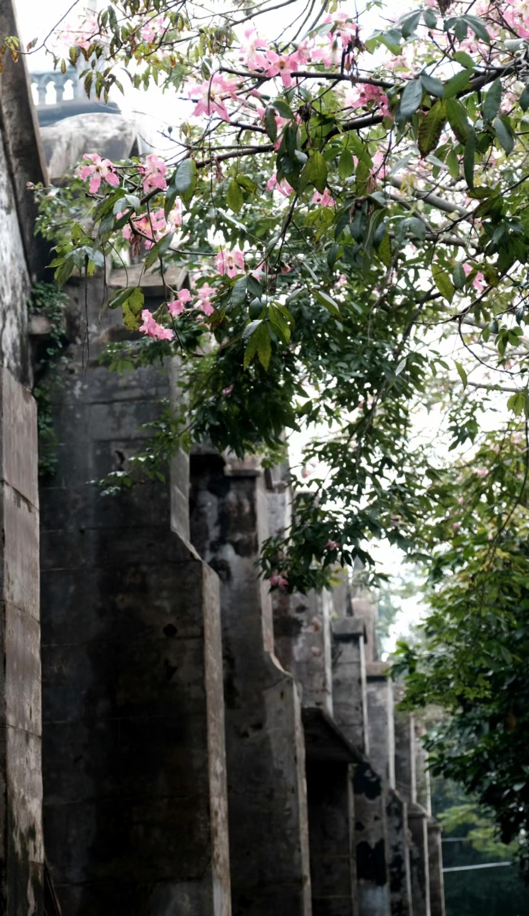 本地人果然没有骗我,上涠洲岛必吃榜海鸭凤黄酥