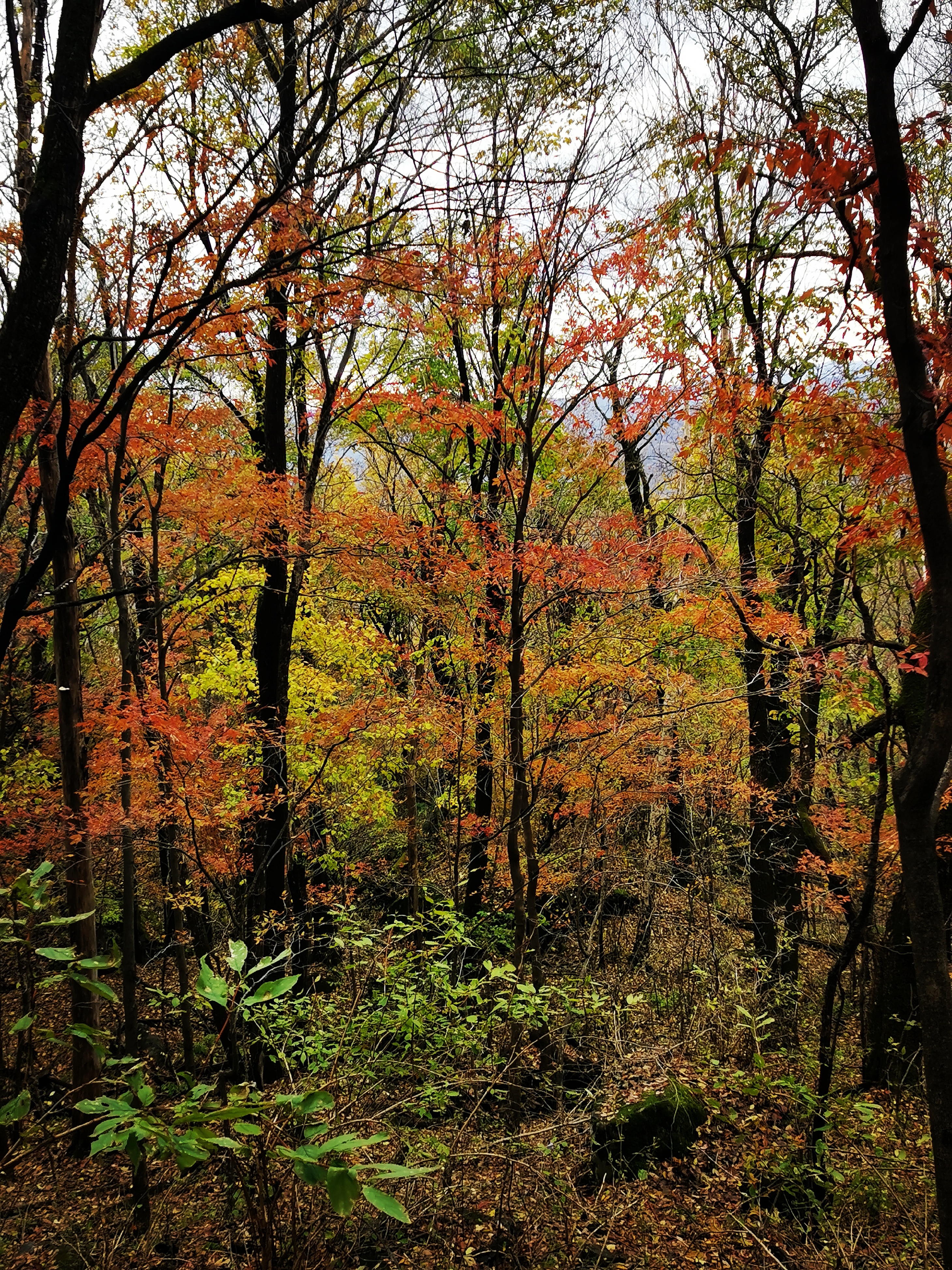23.34  吊水壶风景区