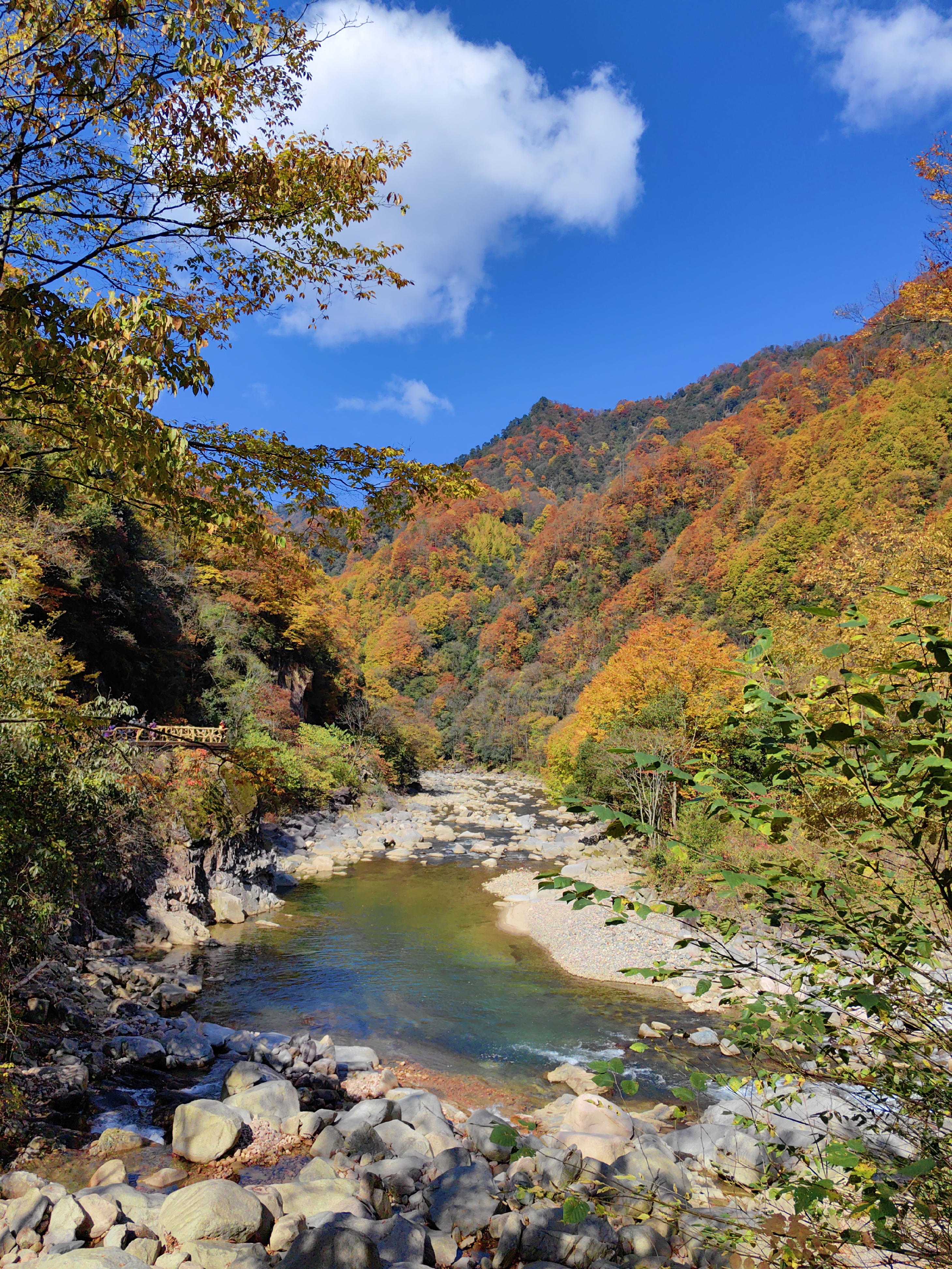 米仓山一日游图片