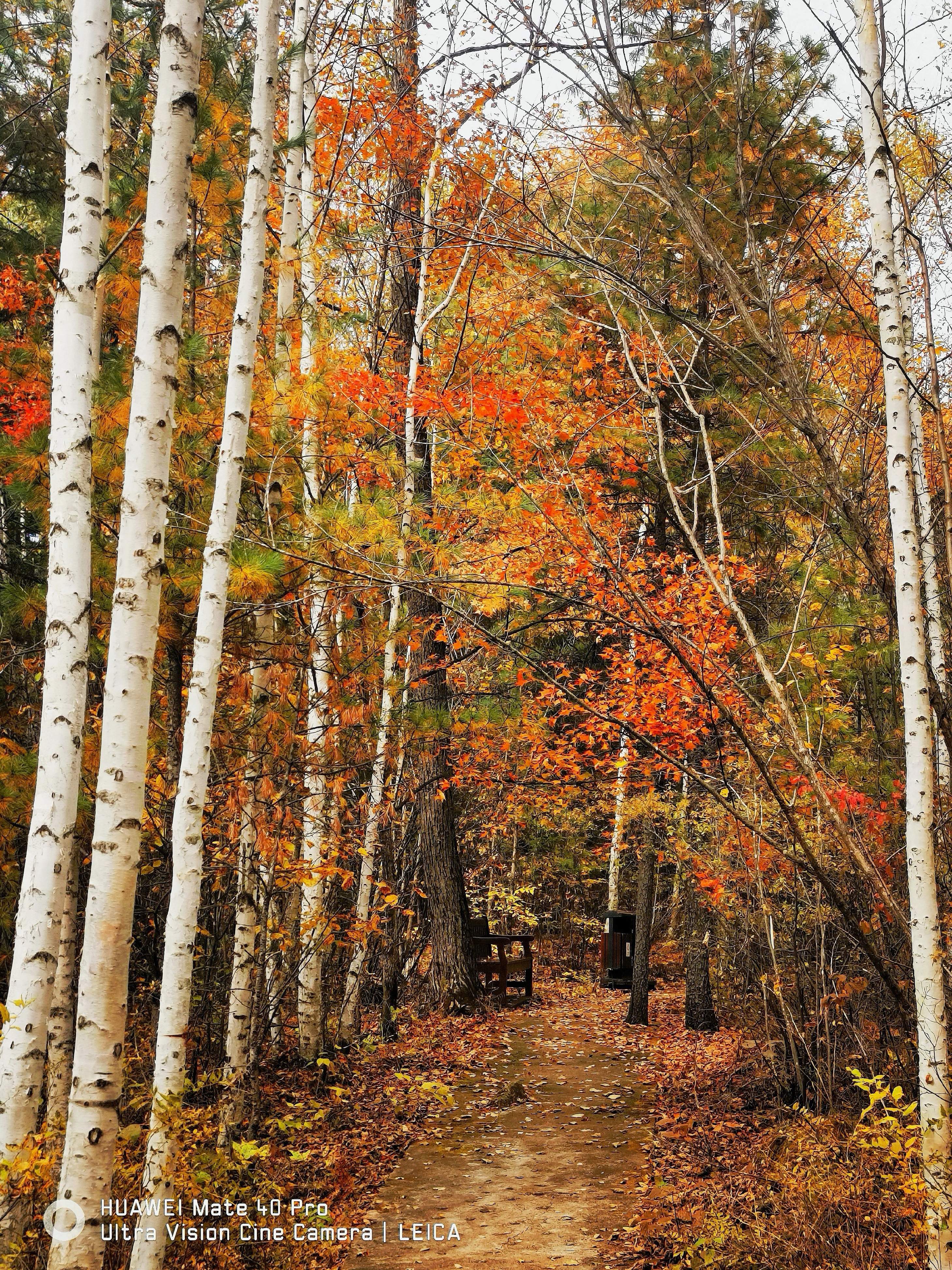 伊春汤旺河国家公园(林海石林)