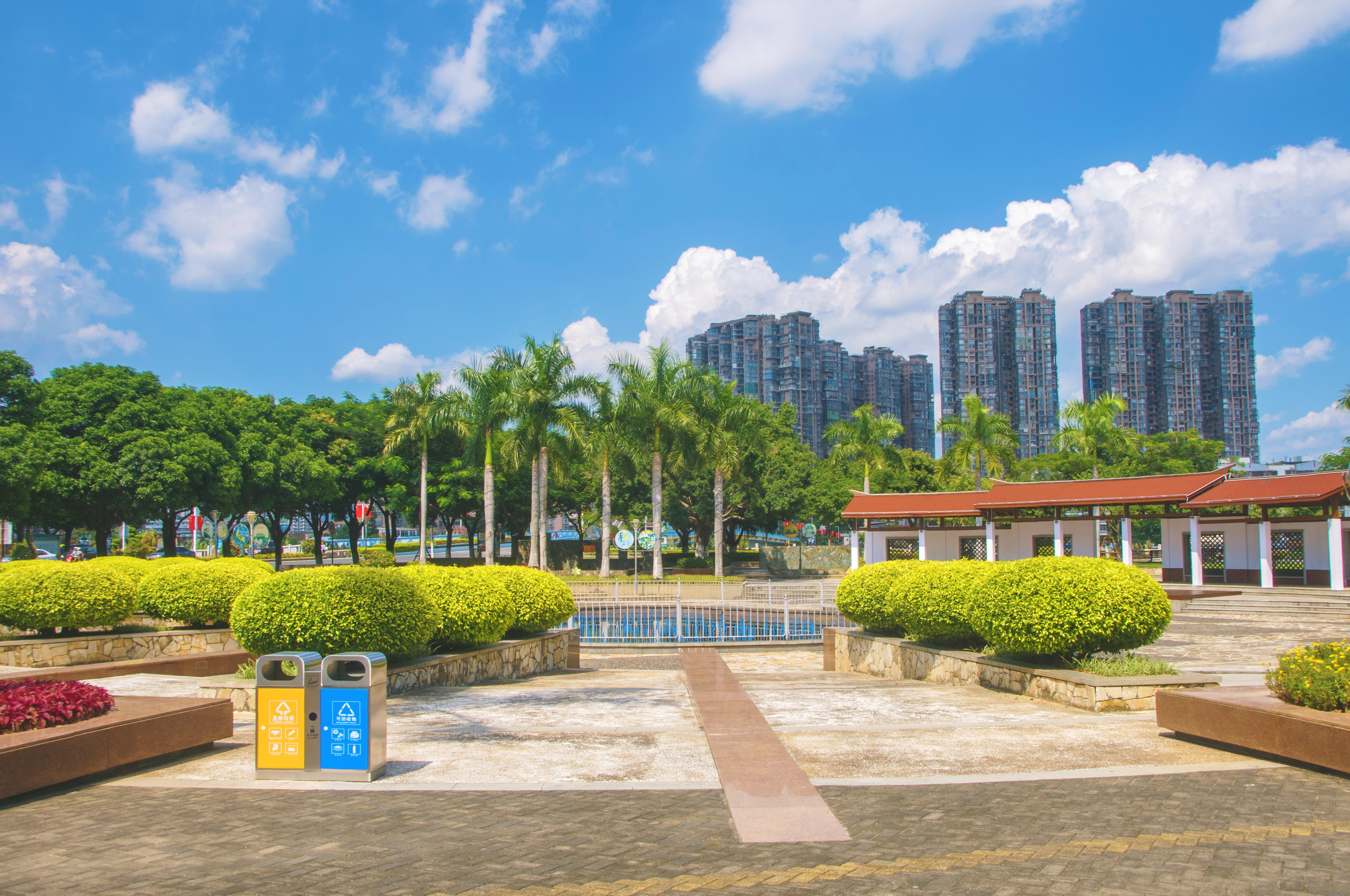银湖公园,同安一处不错的街头绿荫