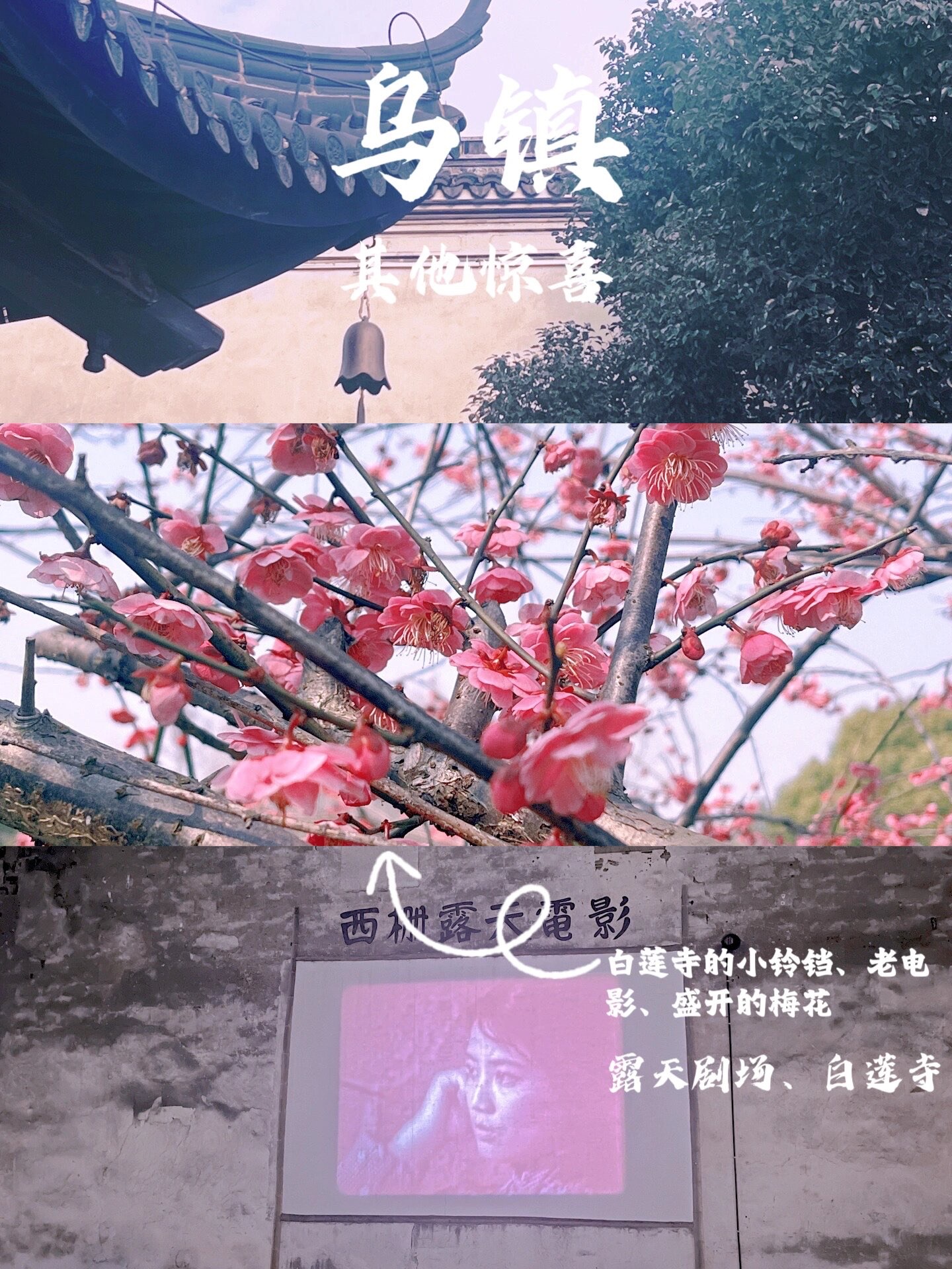 上海乌镇在哪_上海乌镇旅游攻略_上海乌镇有什么好玩的景点