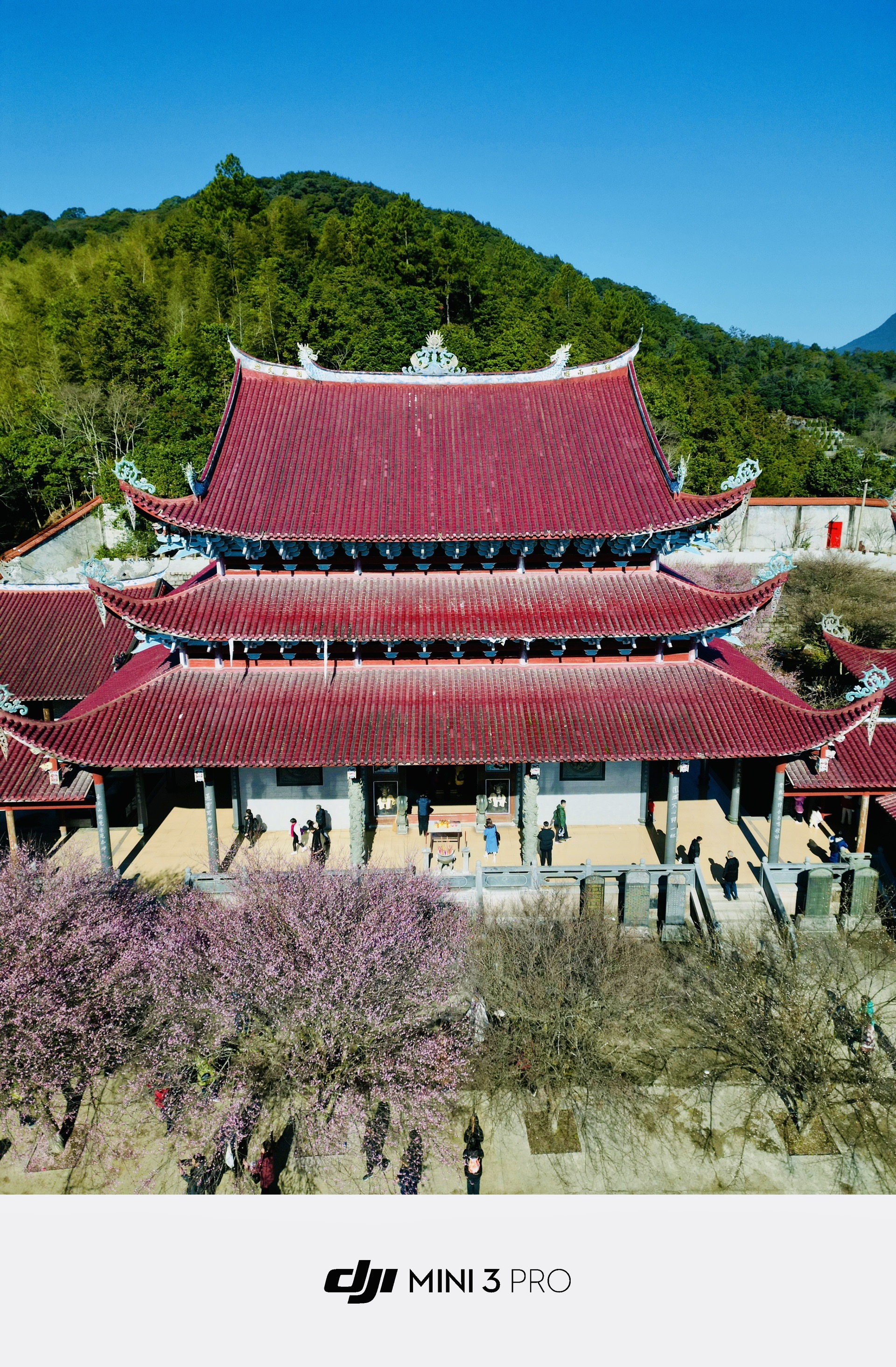 林阳禅寺路况图片