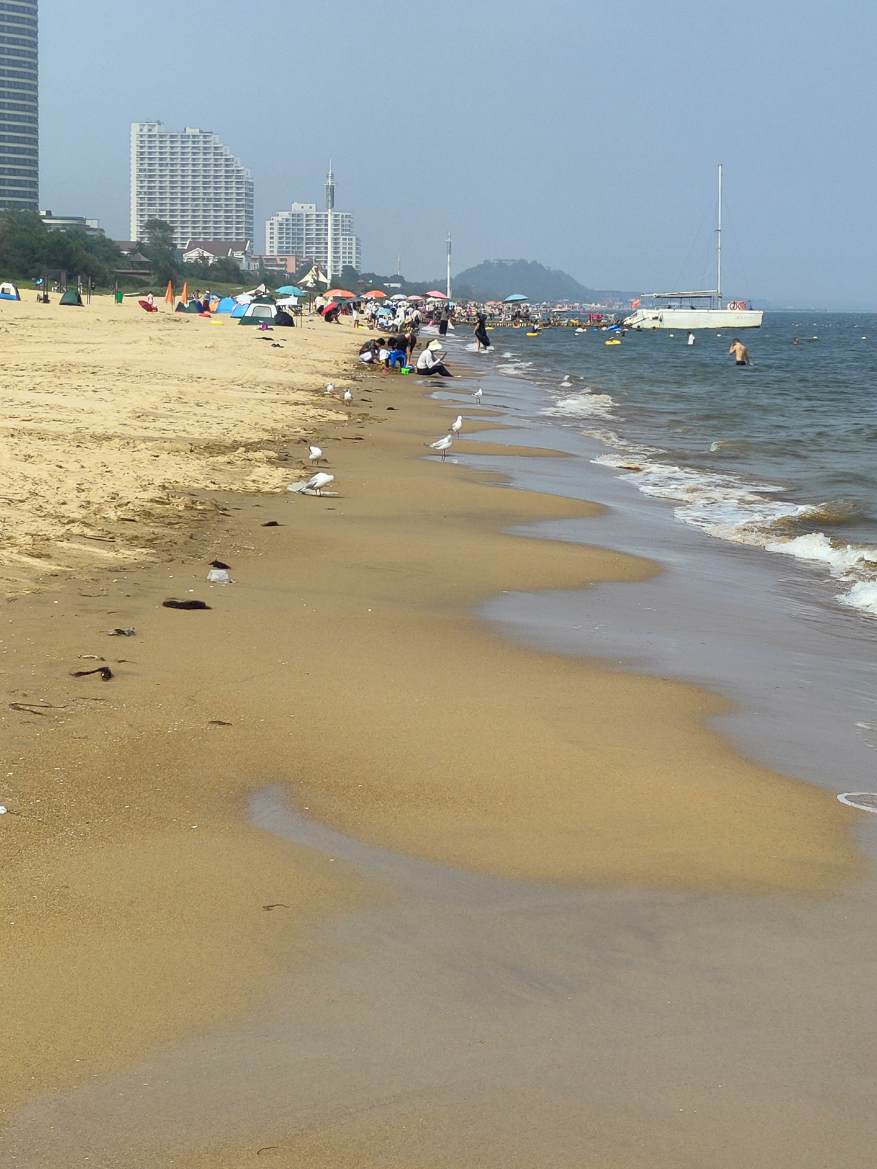 昌黎黄金海岸海景房图片