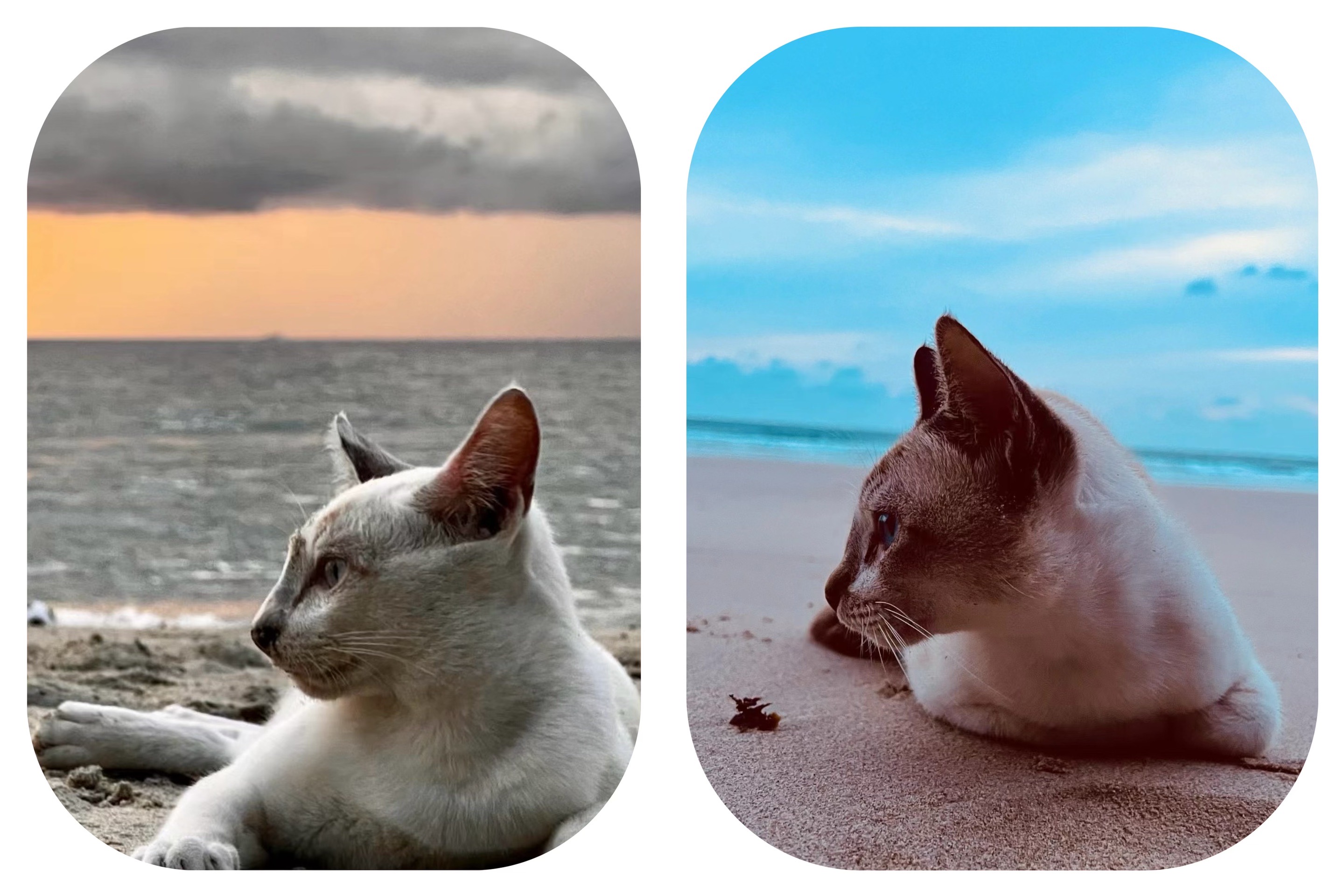 9890马来西亚古达  | 小众海景度假屋