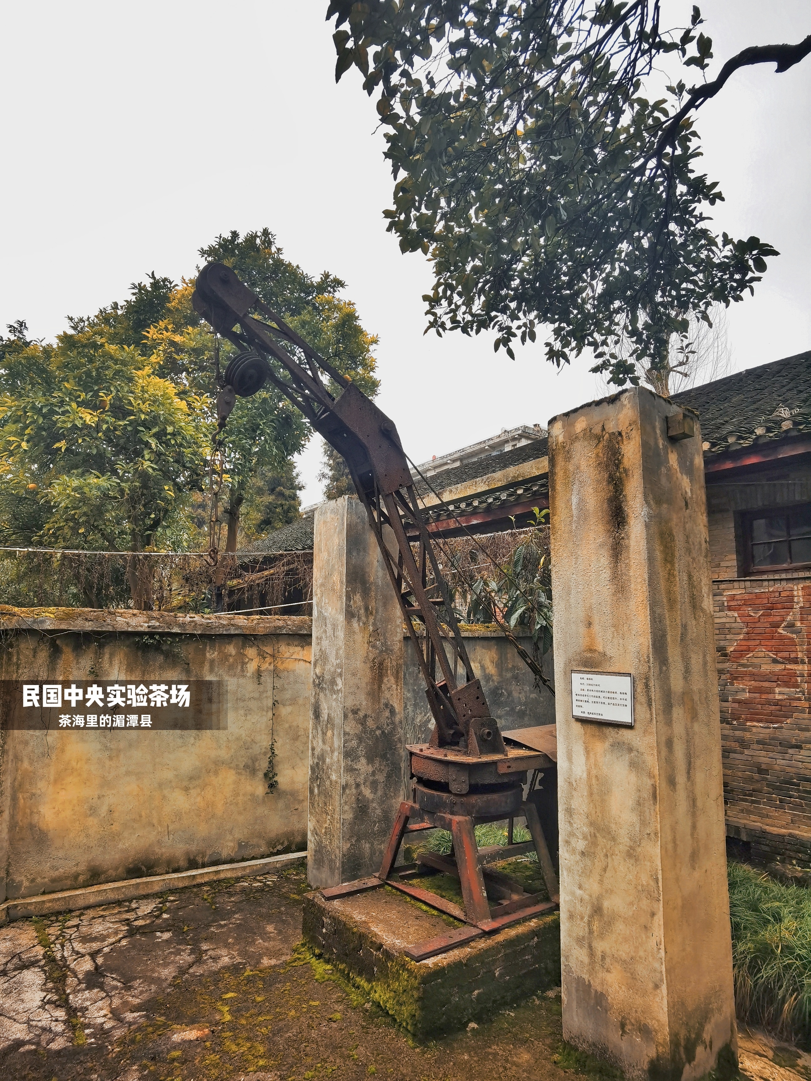 湄潭中央实验茶场旧址