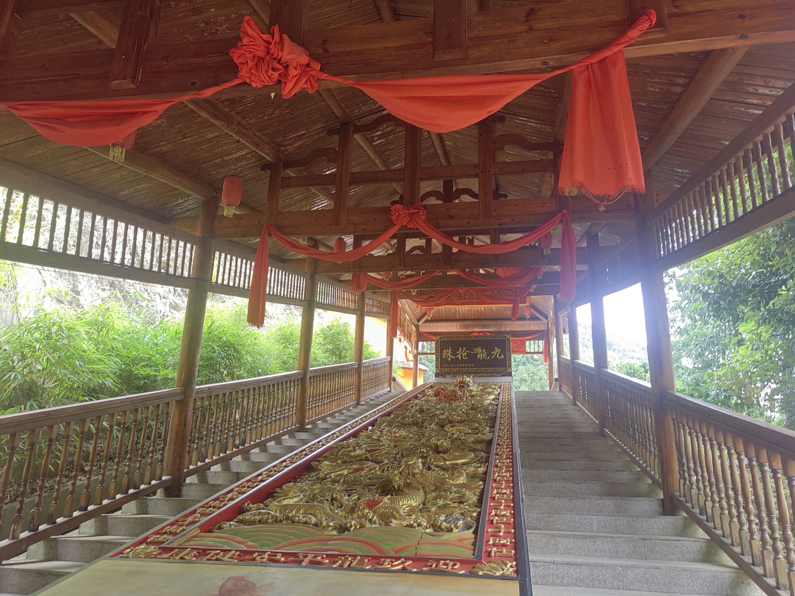 闽清白中神龙井