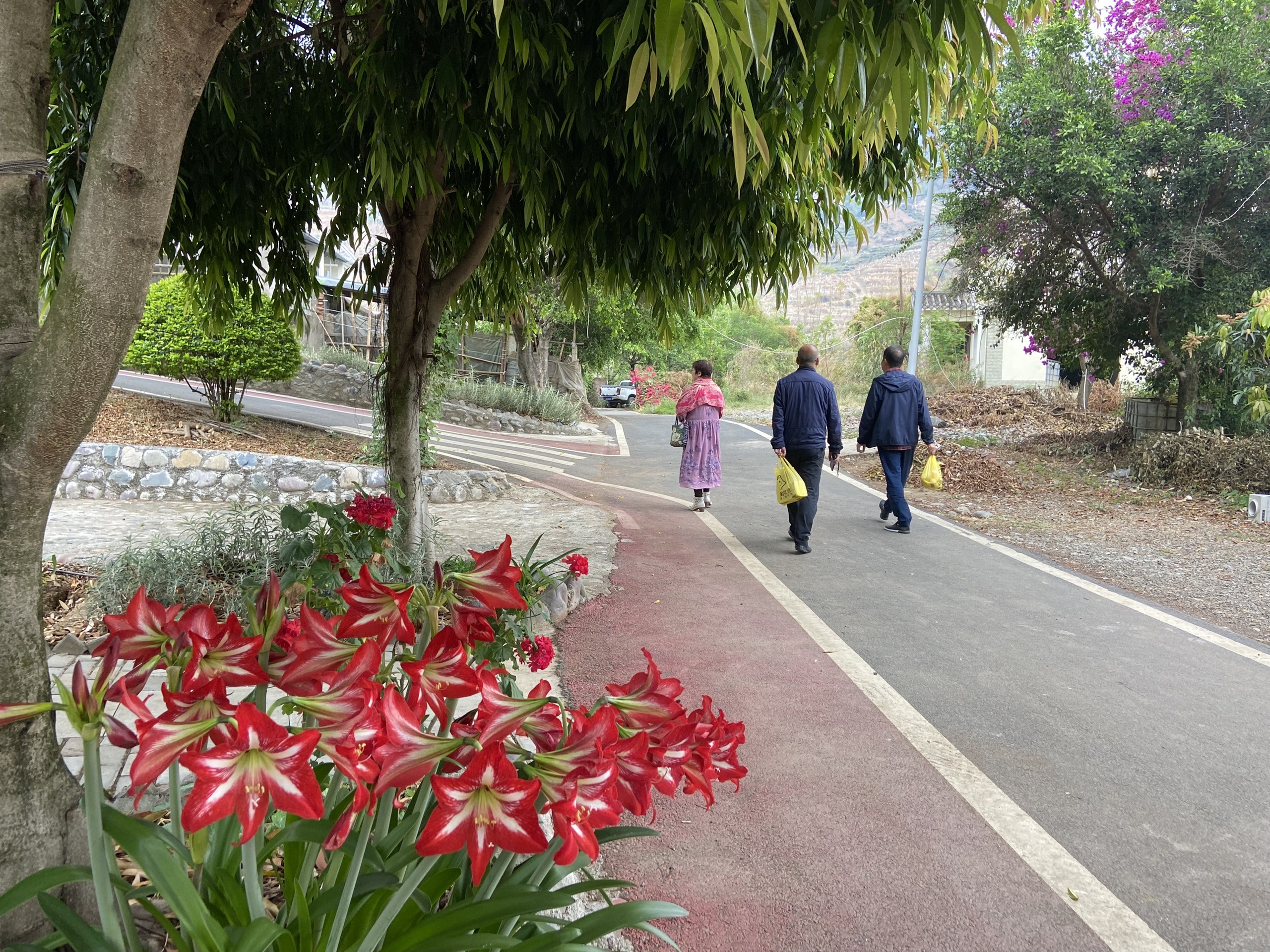 芭蕉箐水库