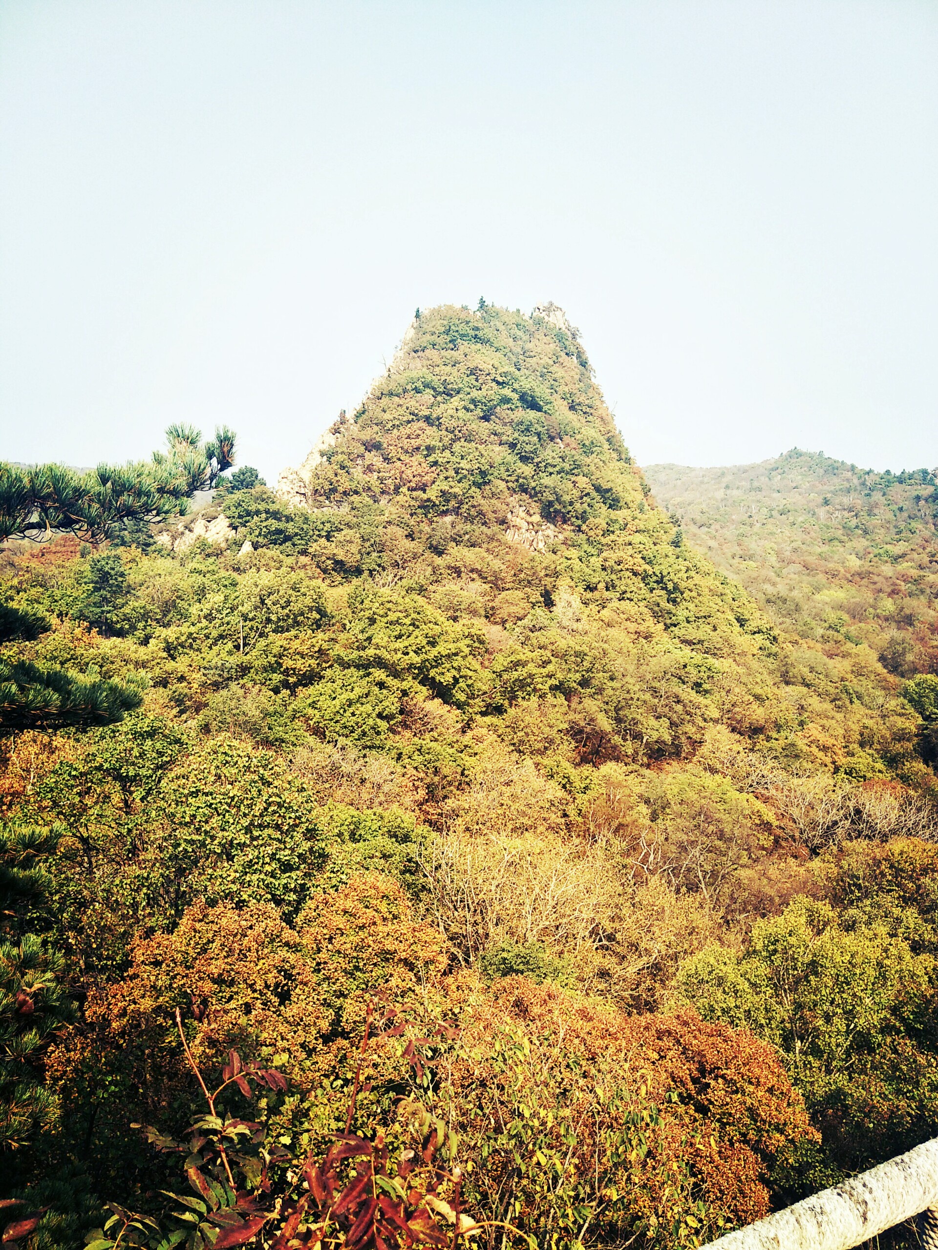 23.33  哈尔滨鸡冠山