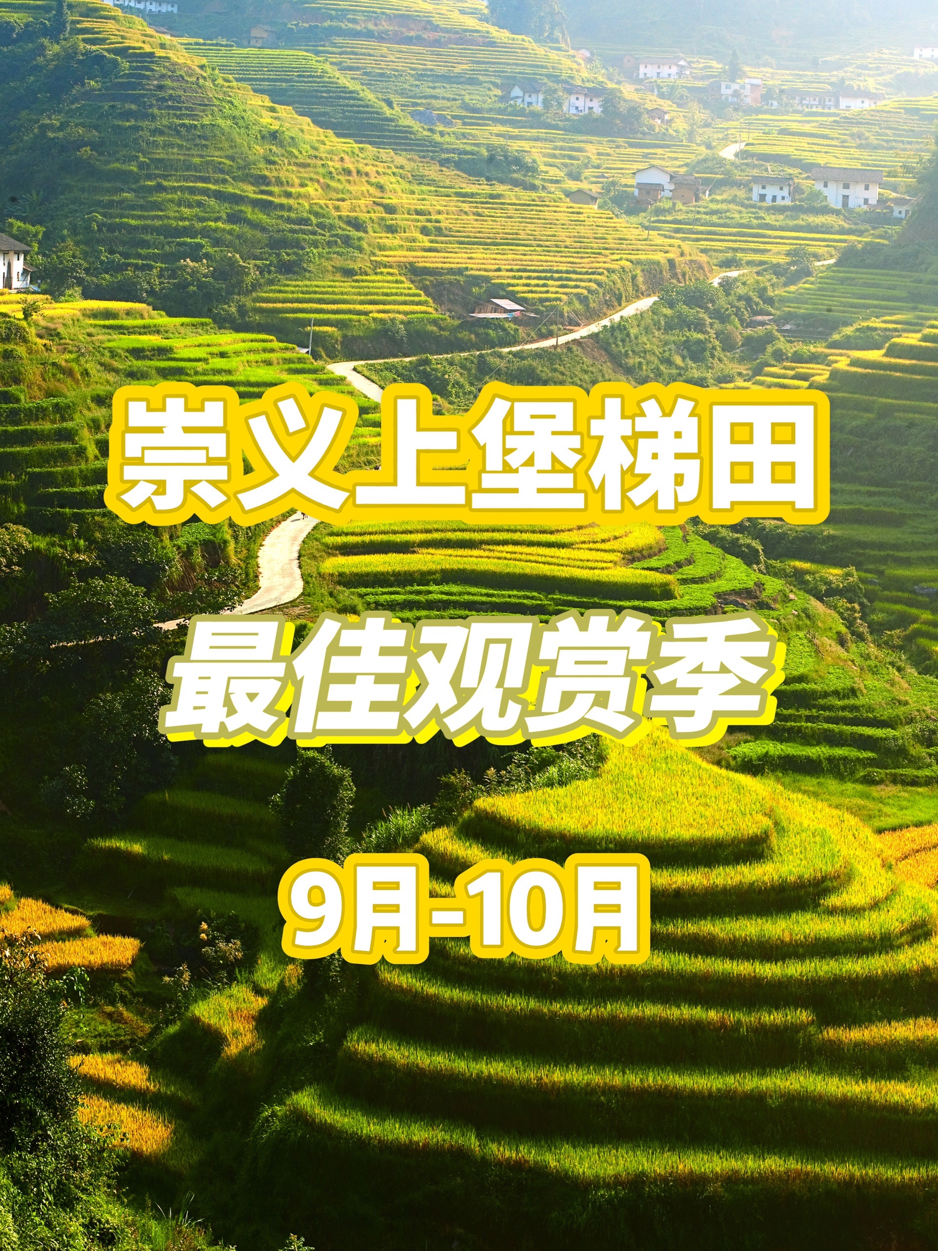 景区推荐|赣州崇义上堡梯田(最佳观赏季节来啦)